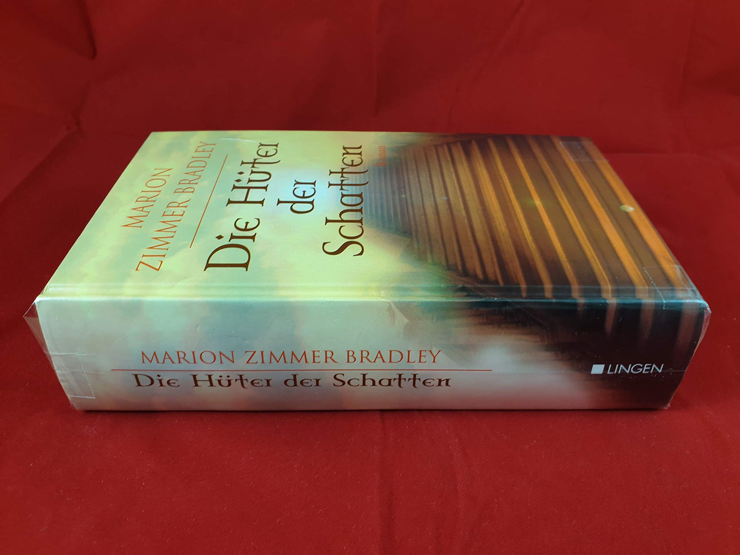 Die Hüter der Schatten