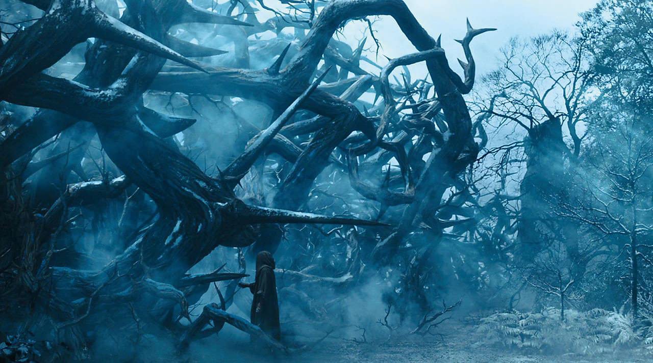 Maleficent - Die Dunkle Fee,1 DVD: Empfohlen von der Filmbewertungsstelle Wiesbaden (FBW): Prädikat besonders wertvoll. Für Hörgeschädigte geeignet.USA
