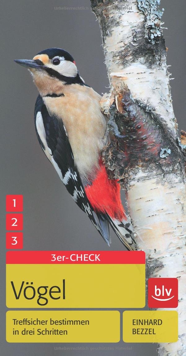 Vögel: Treffsicher bestimmen in drei Schritten