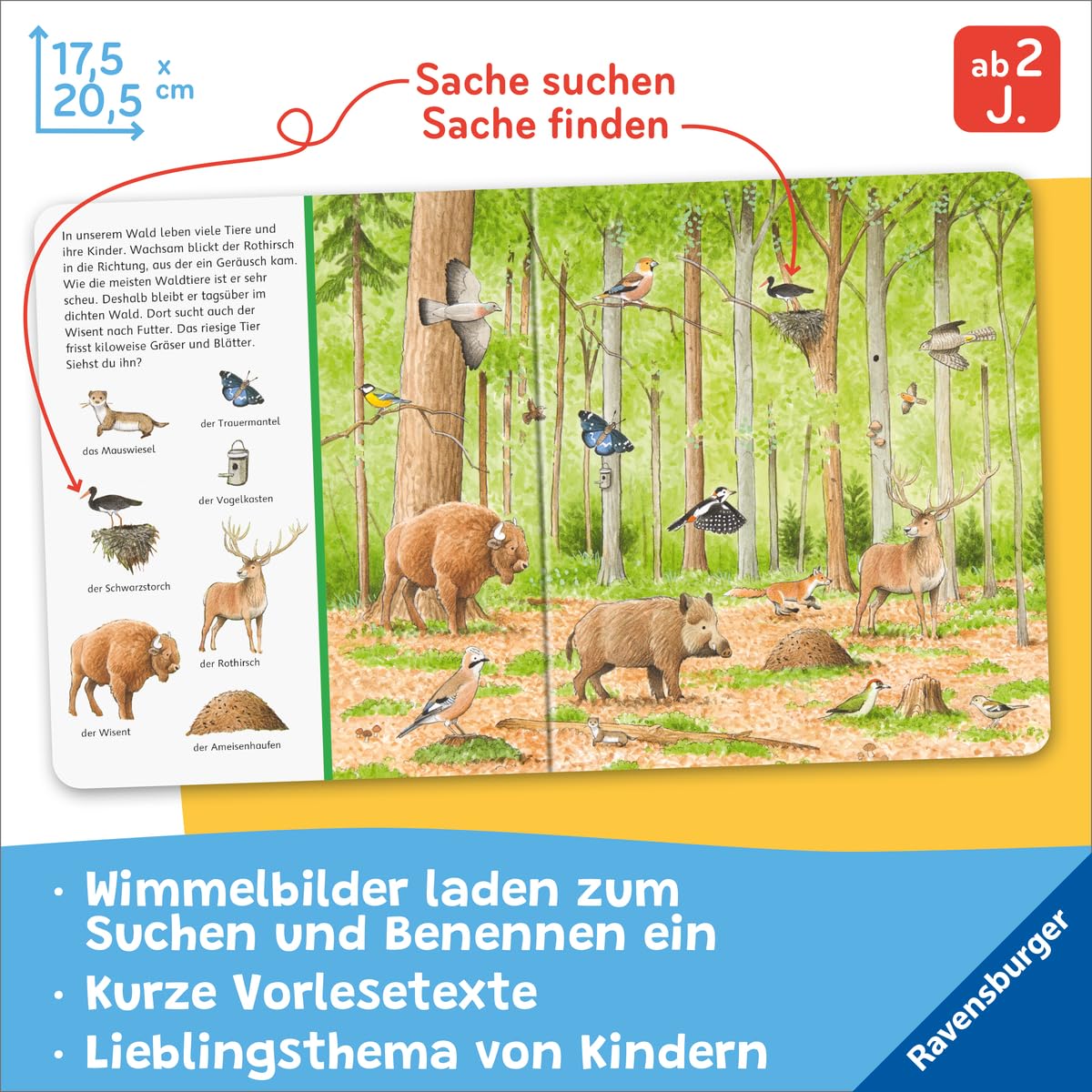 Sachen suchen - Tiere im Wald