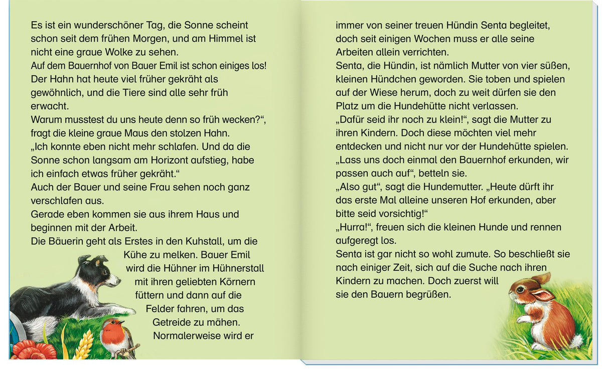 Geschichtenbuch "Meine schönsten Tiergeschichten": Extra große Schrift