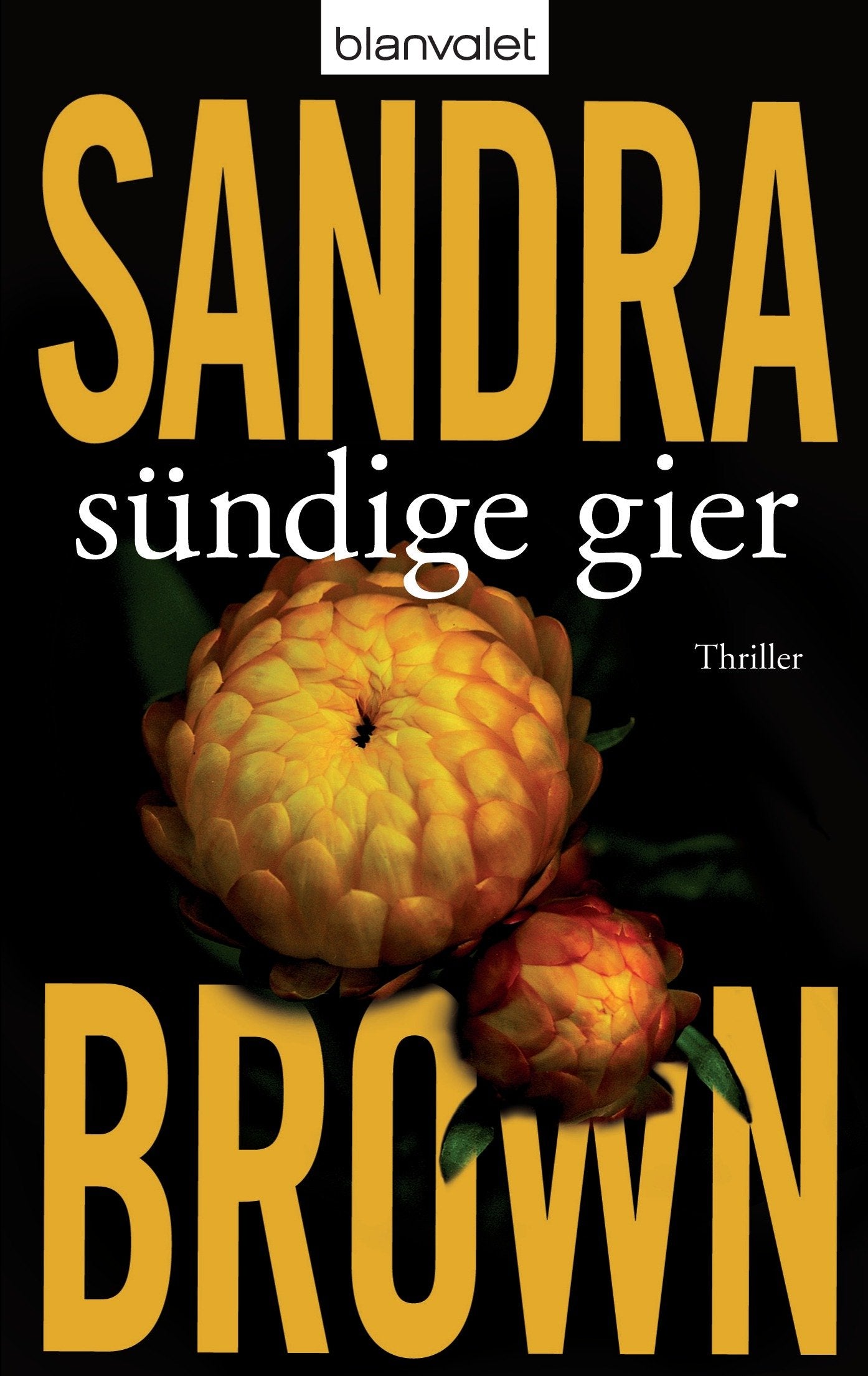 Sündige Gier: Thriller