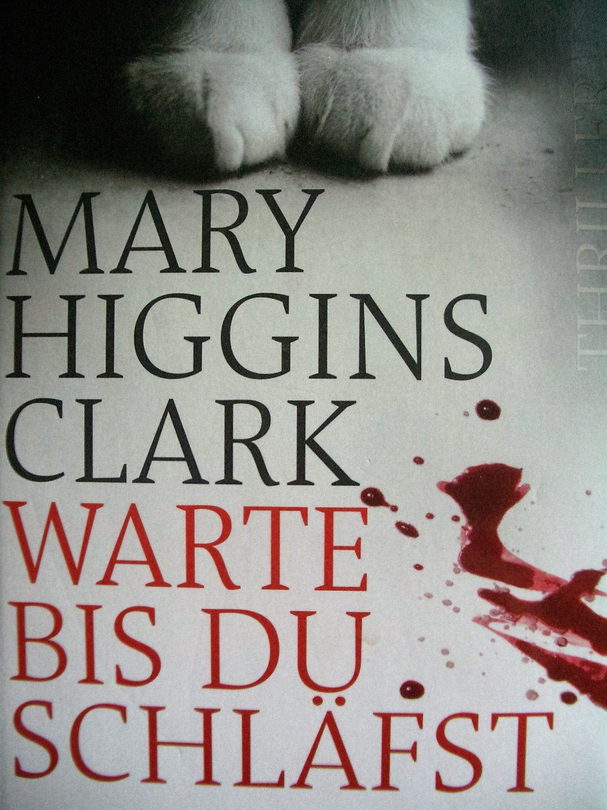 Warte, bis du schläfst: Thriller