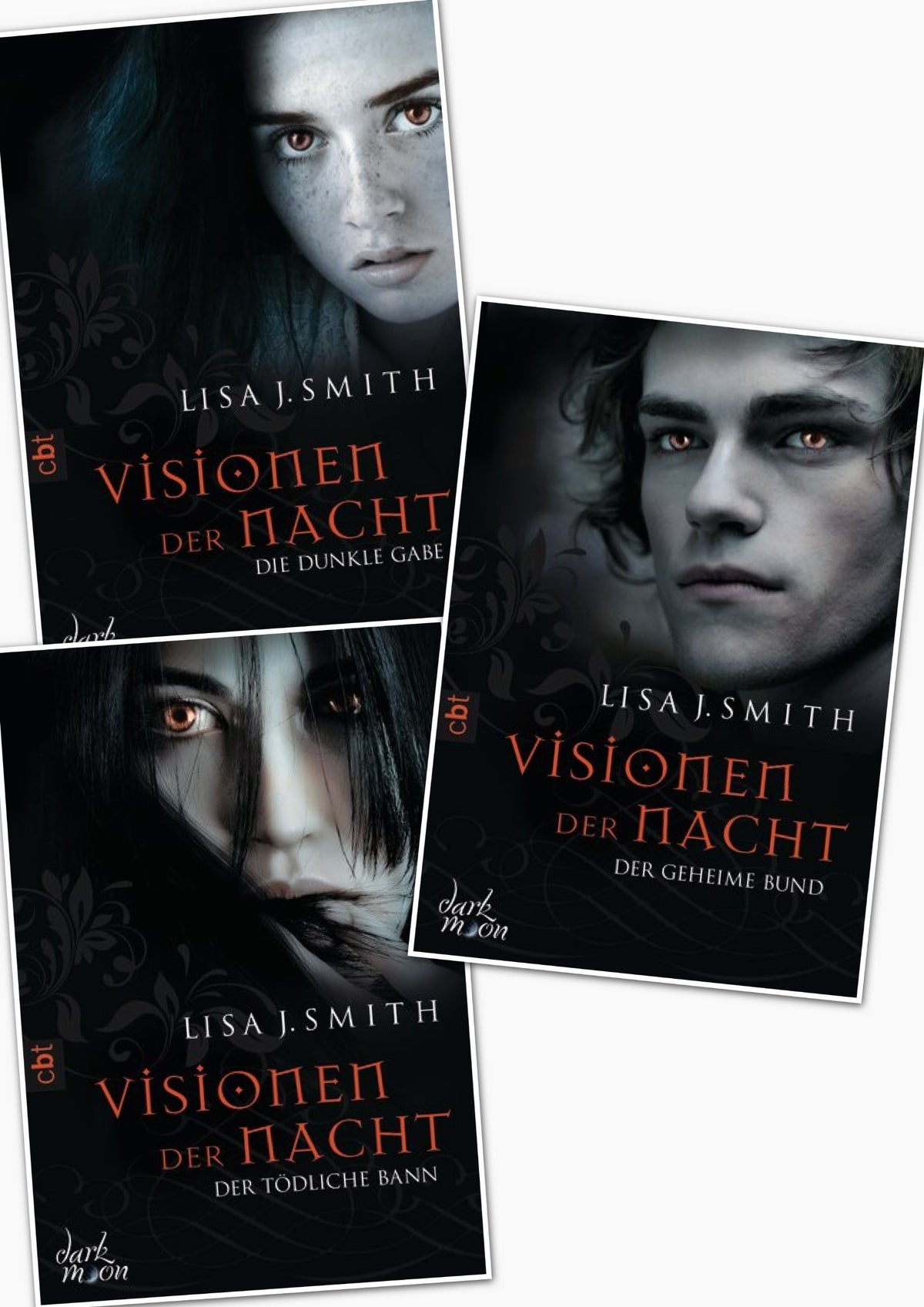 Lisa J. Smith, Visionen der Nacht, Band 1,2,3 (Visionen der Nacht)