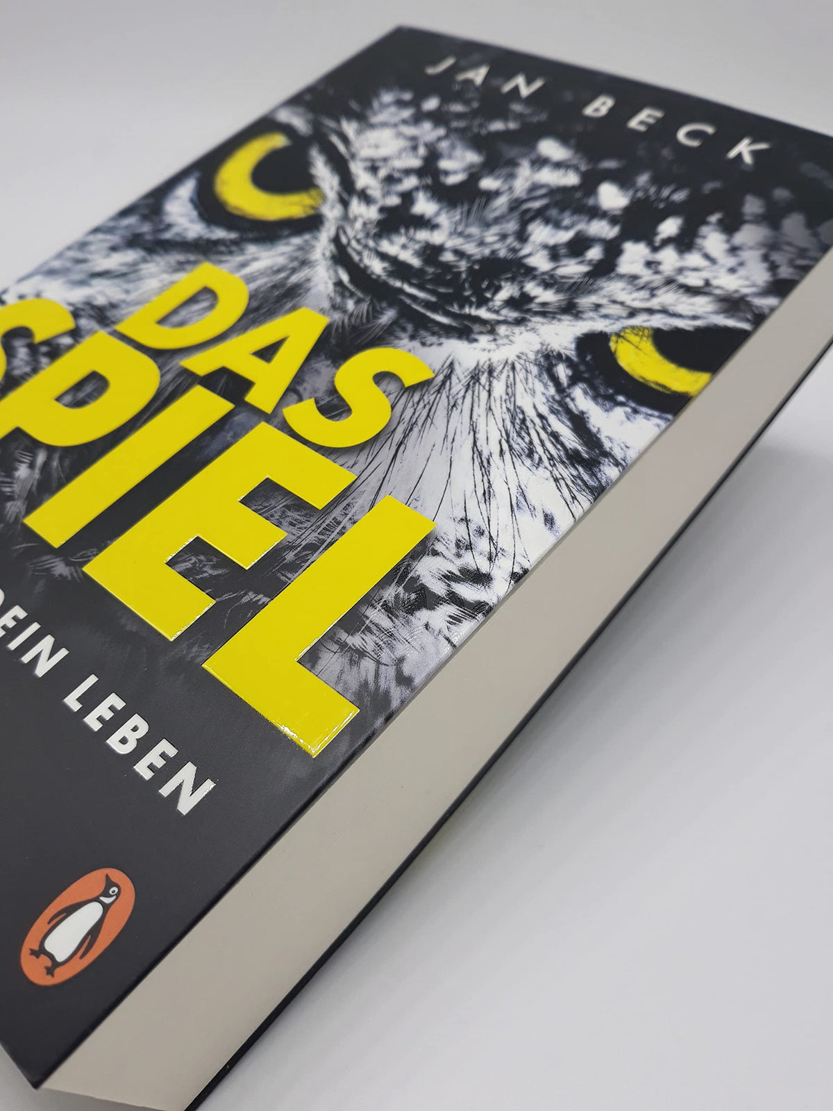 Das Spiel – Es geht um Dein Leben: Thriller (Björk und Brand Reihe, Band 1)