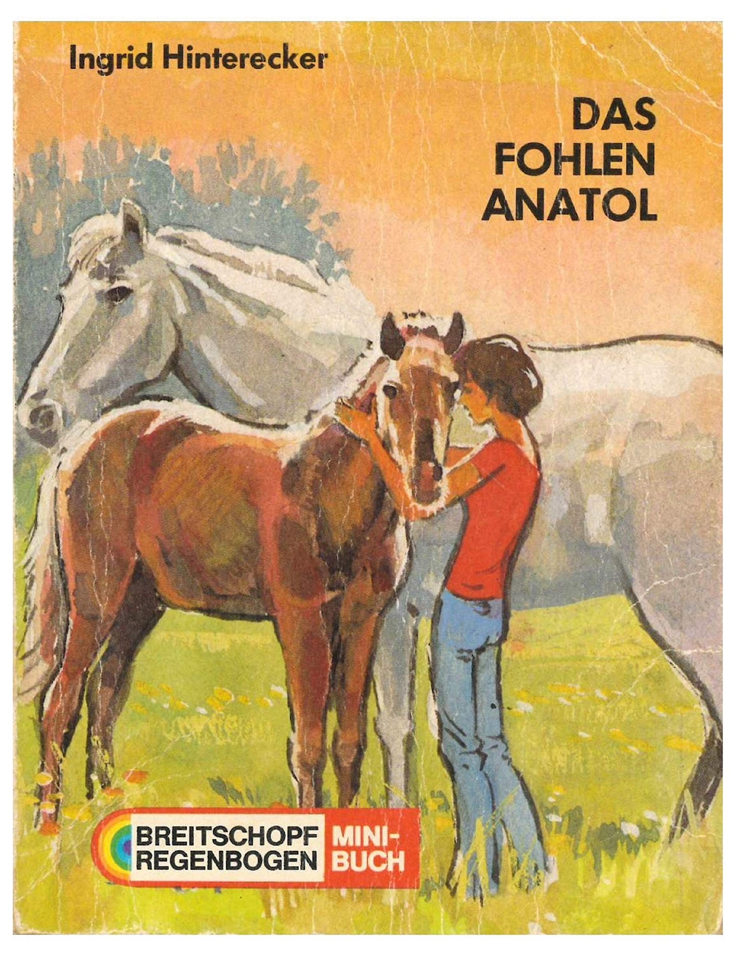 Das Fohlen Anatol