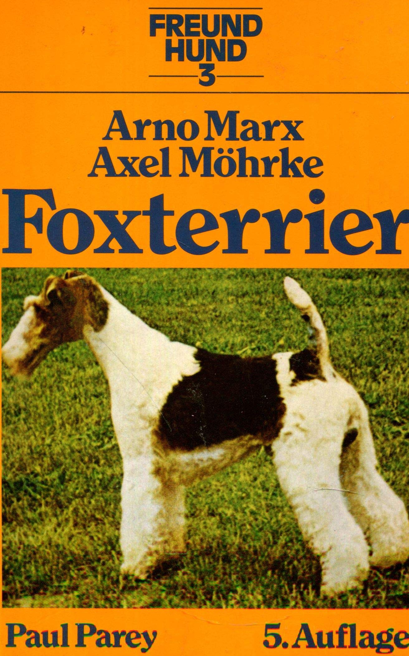 Foxterrier. Ursprung, Rassekennzeichen, Zucht, Aufzucht und Erziehung