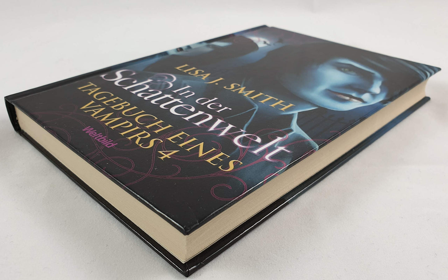 In der Schattenwelt. Tagebuch eines Vampirs 4