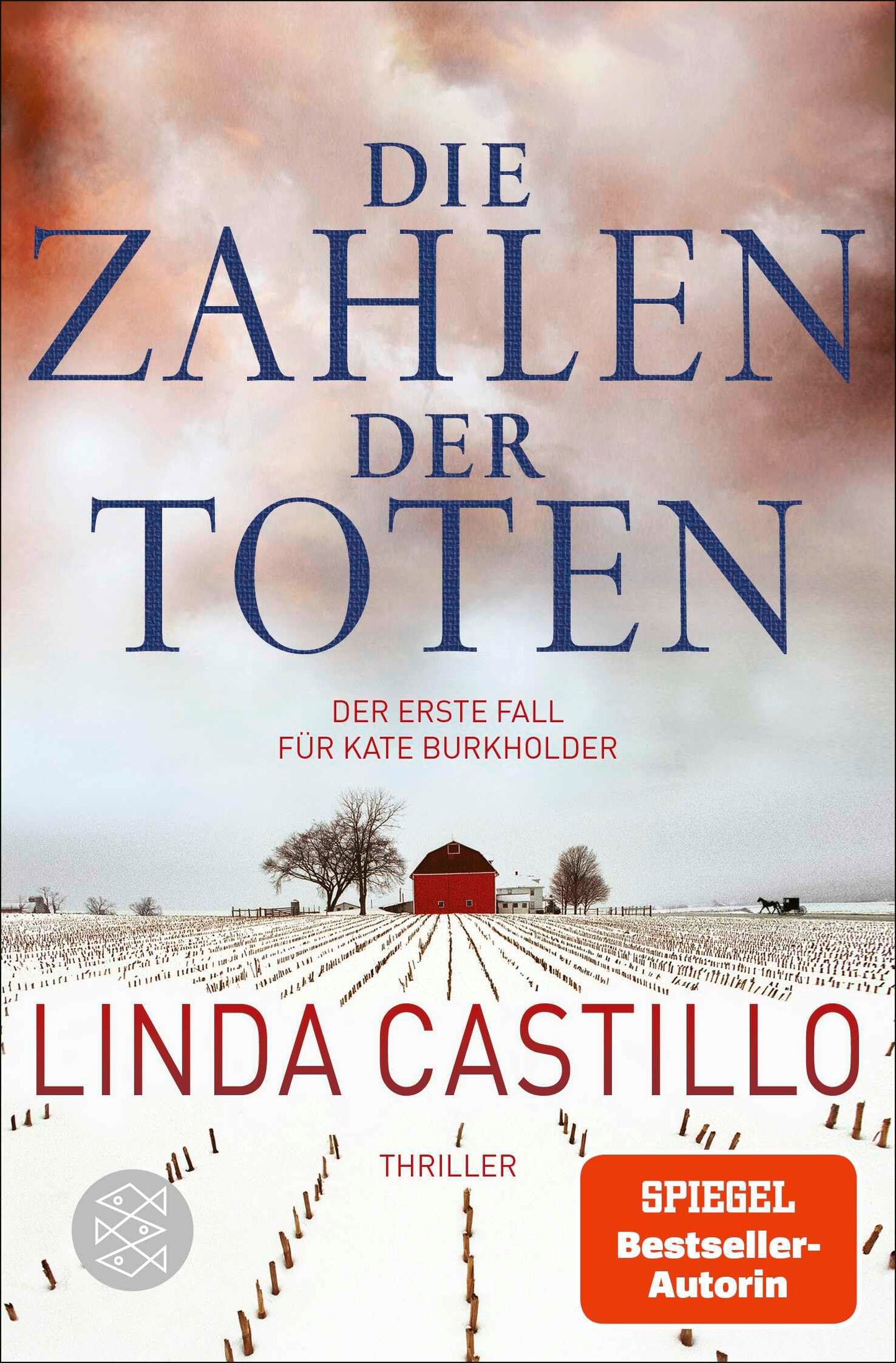 Die Zahlen der Toten: Thriller | Spannender Thriller bei den Amischen (Kate Burkholder ermittelt, Band 1)