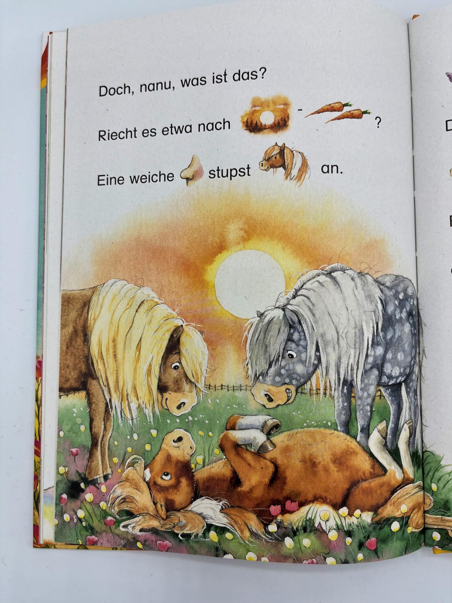 Pepe, das kleine Zauberpony: Der Bücherbär: Erstlesebuch für die Vorschule ab 5 Jahren. Eine fantastische Zauberpony-Geschichte. Bilder ersetzen ... Vorschule. Bilder ersetzen Hauptwörter)