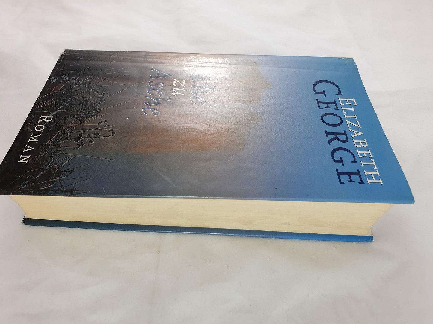 George, Elizabeth: Asche zu Asche: Roman