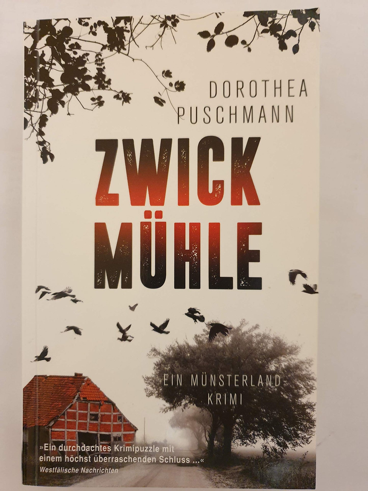 Zwickmühle: Ein Münsterland-Krimi (Kriminalromane im GMEINER-Verlag)