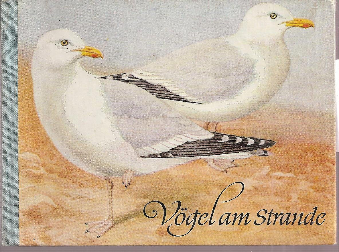 Vögel am Strande