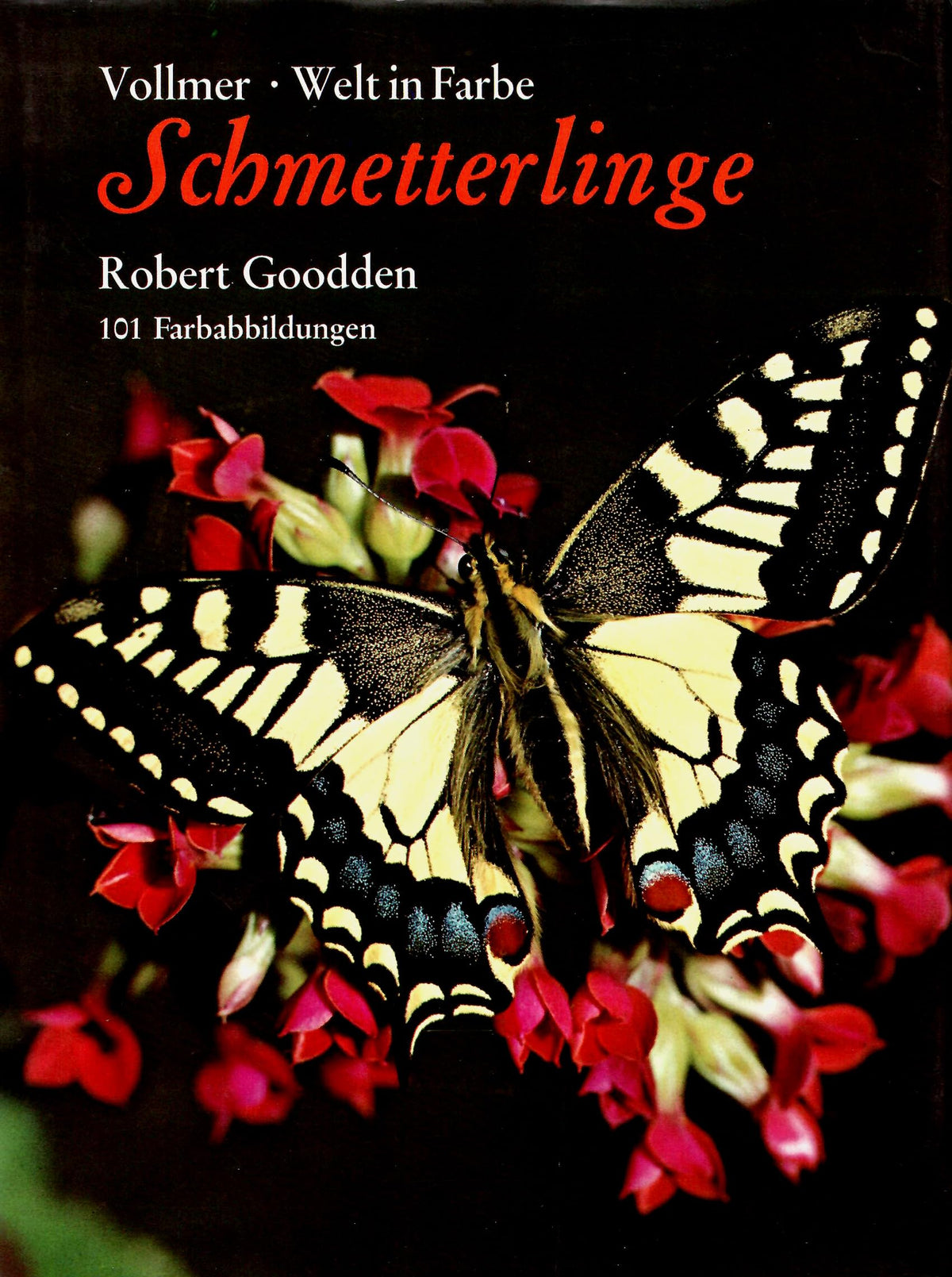Schmetterlinge. Mit 101 farb. Abb.