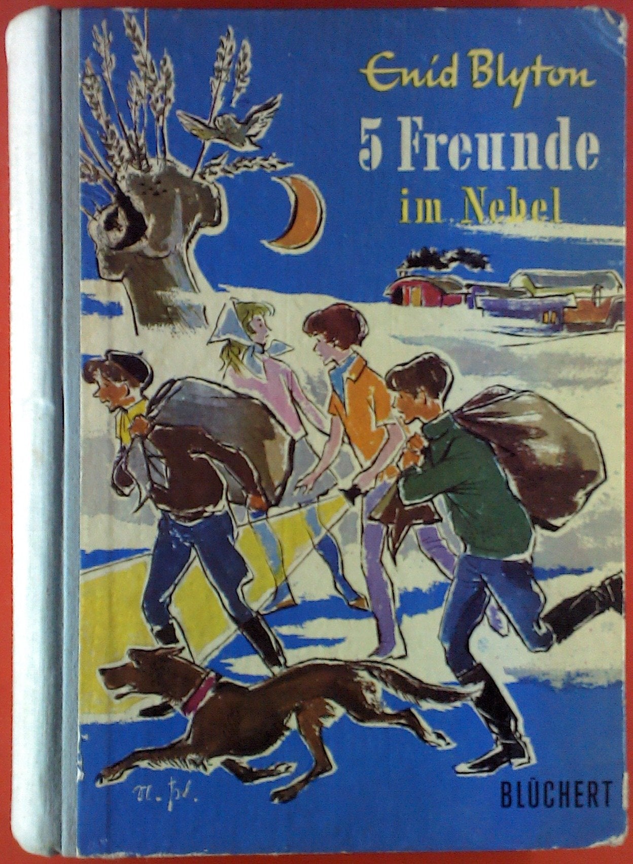 5 Freunde im Nebel. Eine spannende Geschichte für Jungen und Mädchen.
