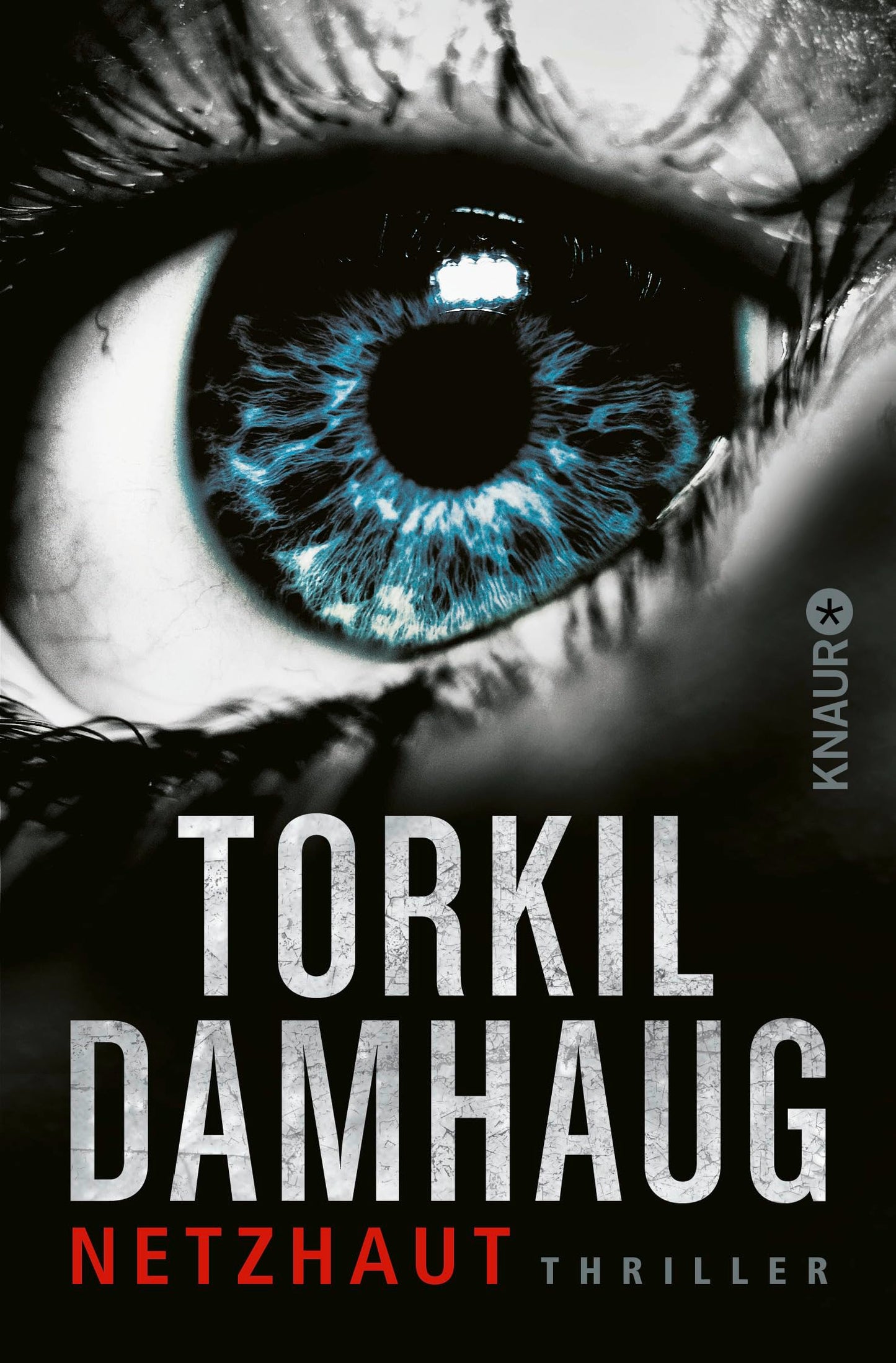 Netzhaut: Thriller