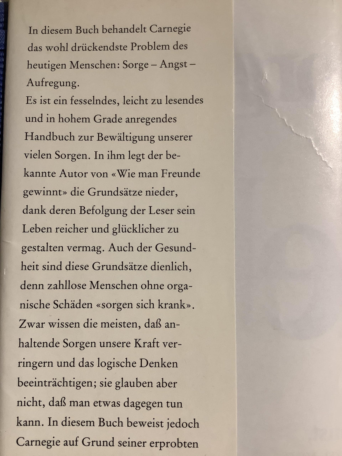 Sorge dich nicht - lebe!: Die Kunst zu einem von Ängsten und Aufregungen befreiten Leben zu finden