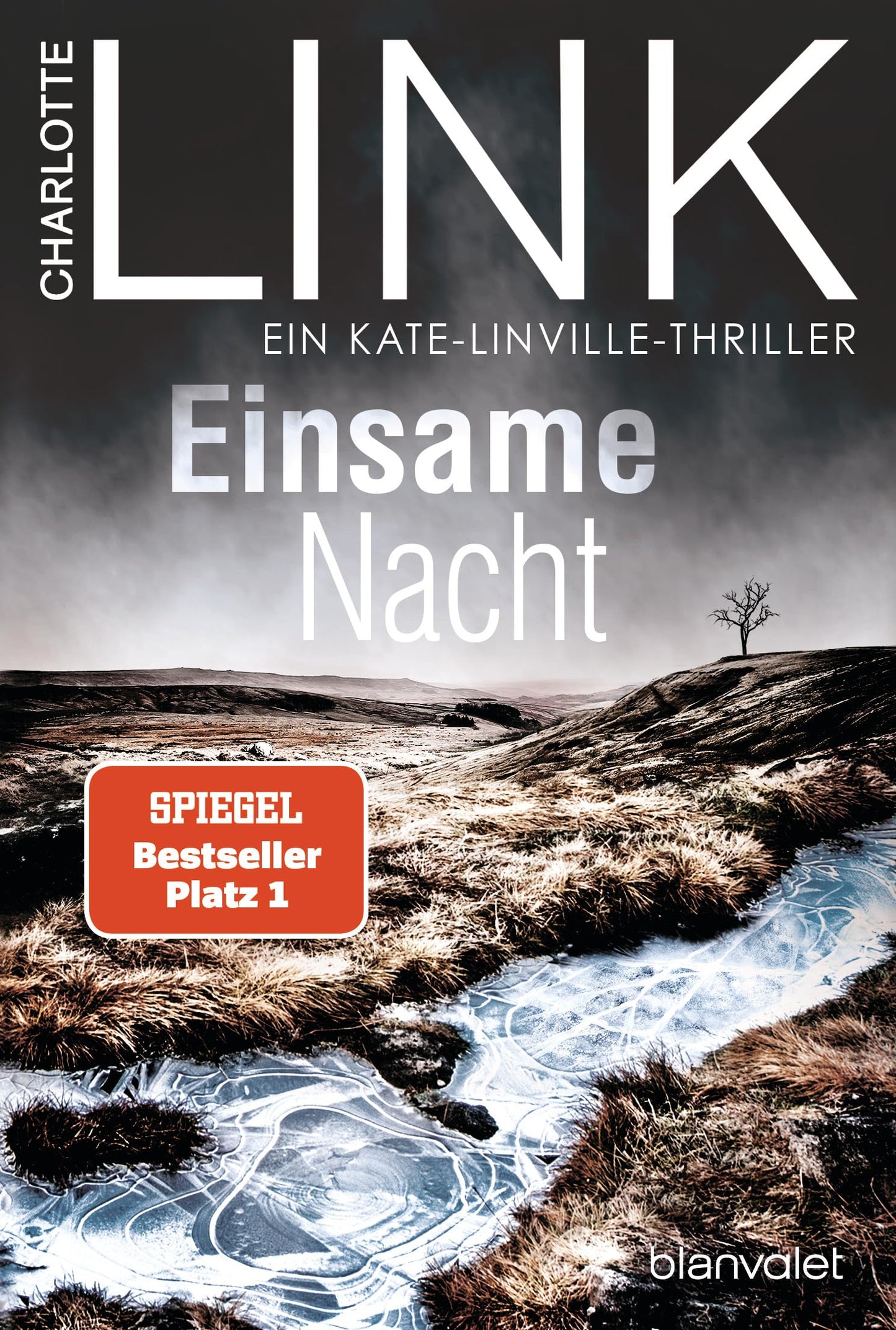 Einsame Nacht: Ein Kate-Linville-Thriller - Der Nr.-1-Bestseller als Taschenbuch - Die große Bestseller-Verfilmung, jetzt in der ARD Mediathek! (Die Kate-Linville-Reihe, Band 4)