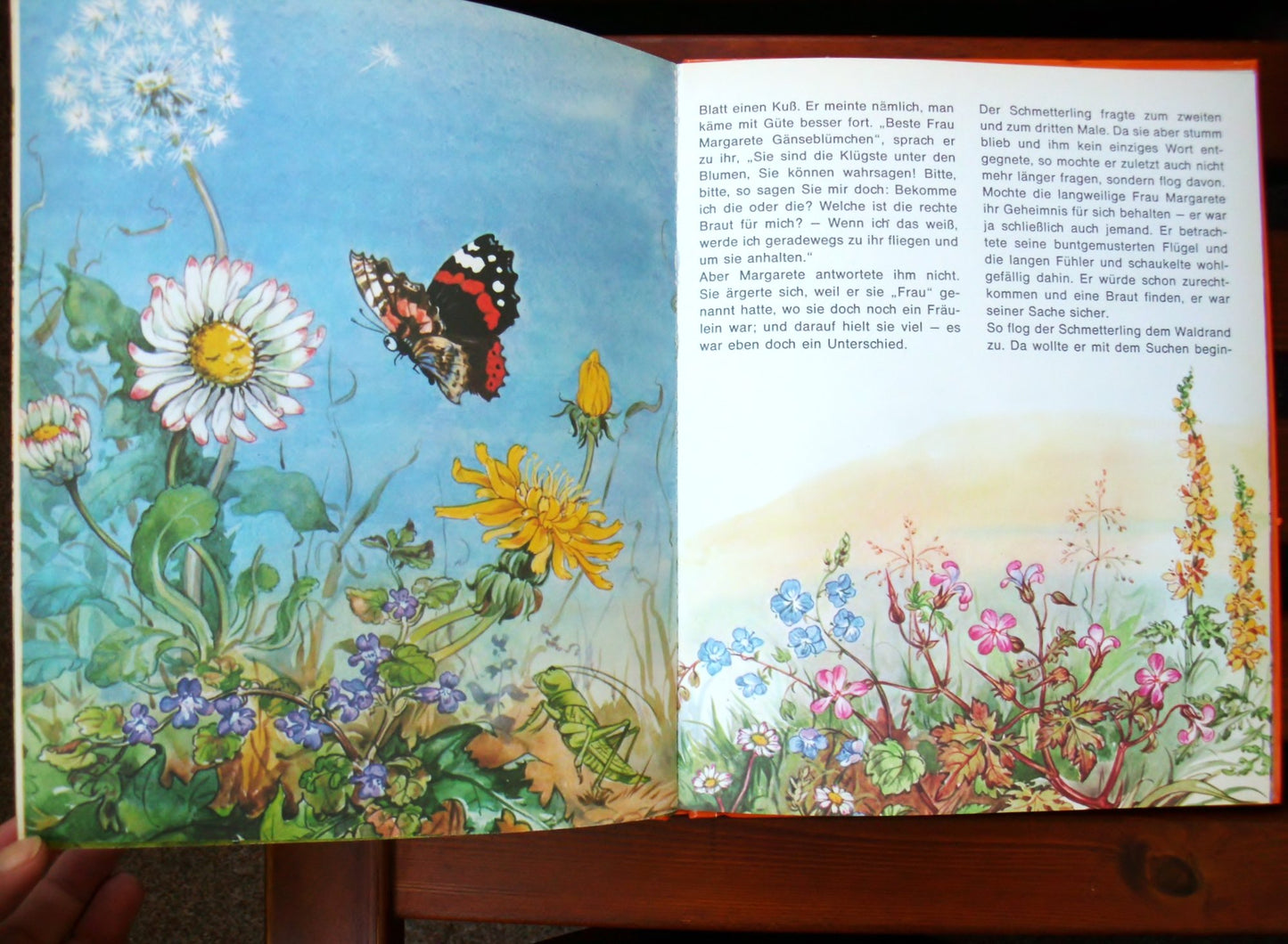Der Schmetterling. Andersen Märchen