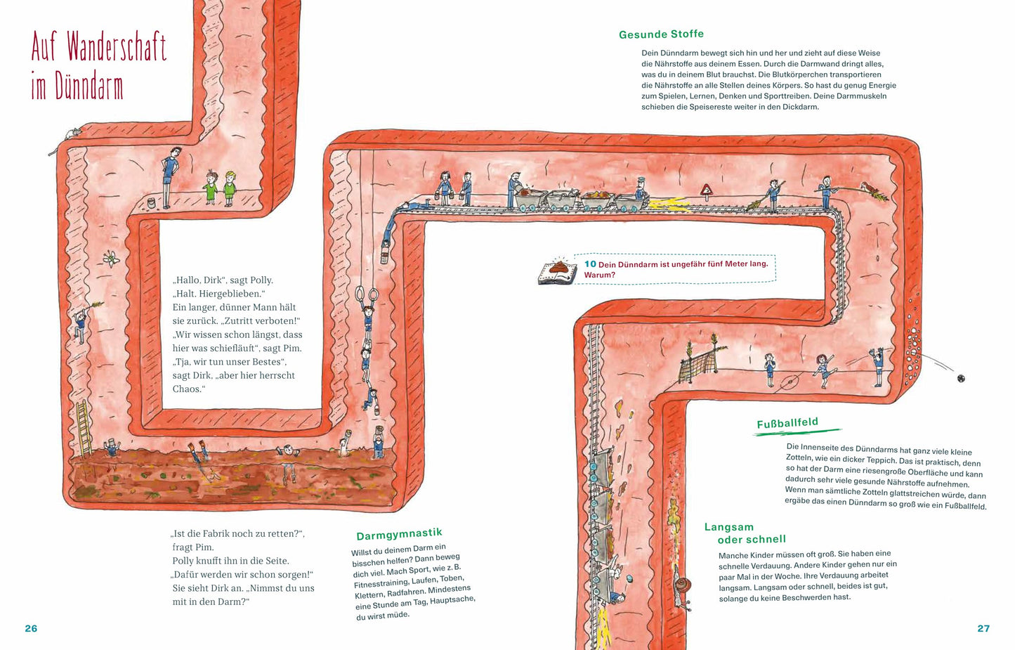 Die Kackwurstfabrik: Einfach erklärt, lustig illustriert: Kindersachbuch zum Thema Verdauung. Für alle Klugscheißer ab 7 Jahren!