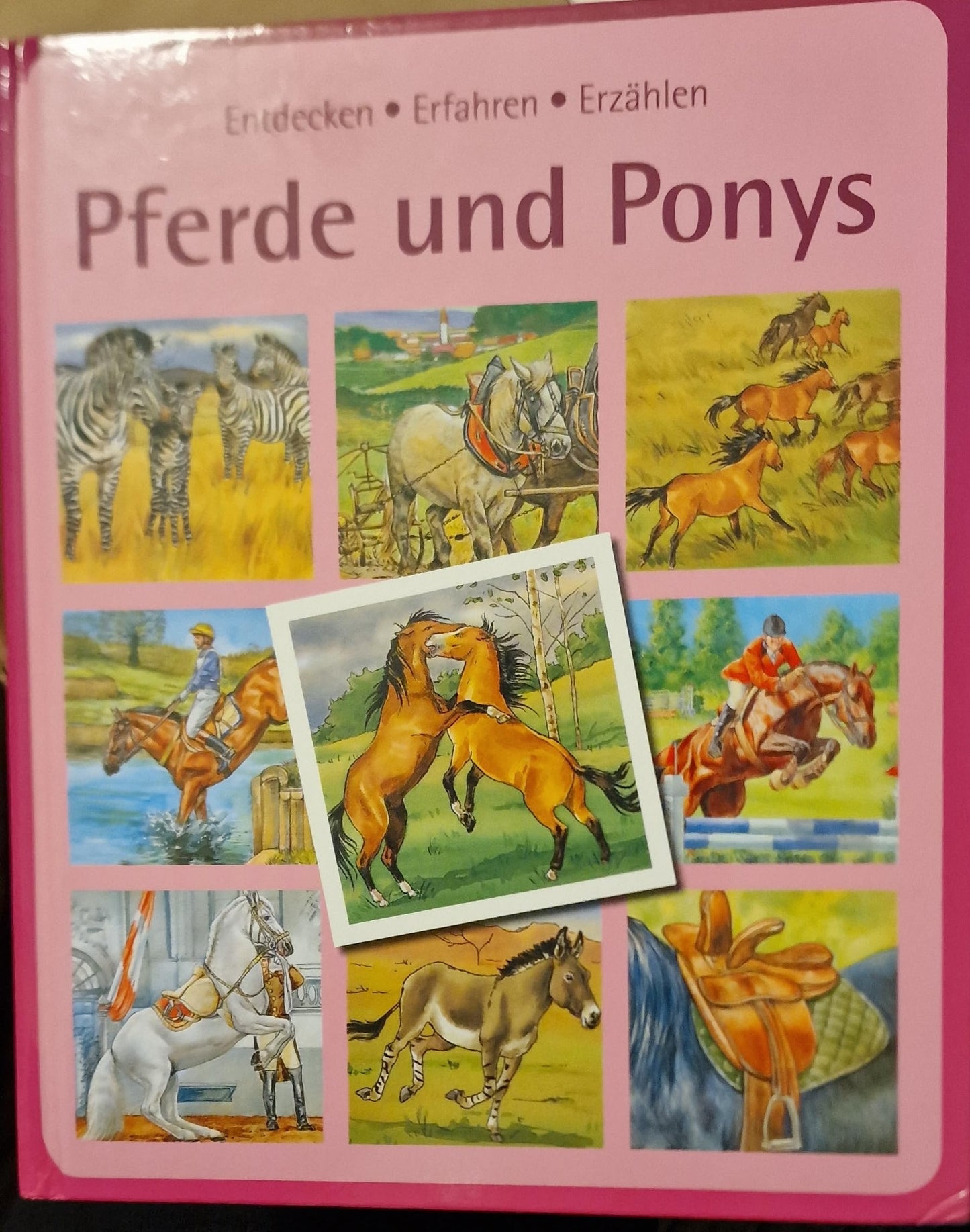Entdecken-Erfahren-Erzählen PFERDE UND PONYS