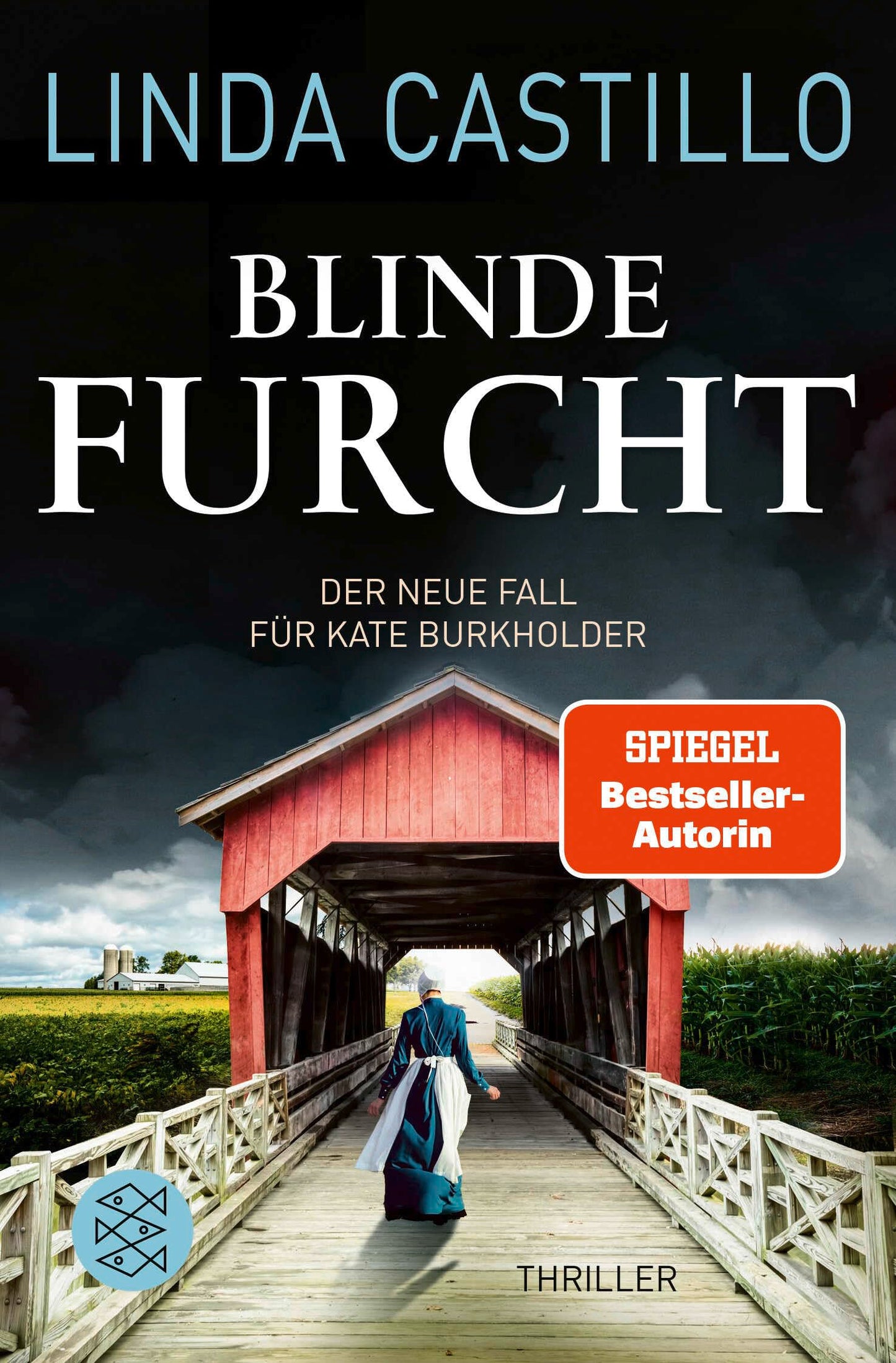 Blinde Furcht: Thriller | Spannender Thriller bei den Amischen (Kate Burkholder ermittelt, Band 13)