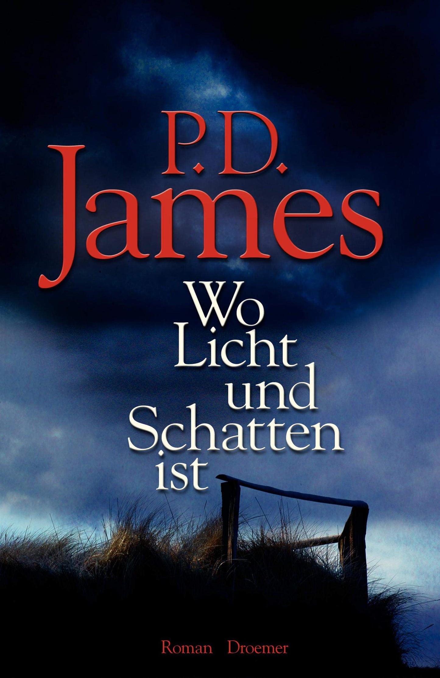 Wo Licht und Schatten ist: Roman