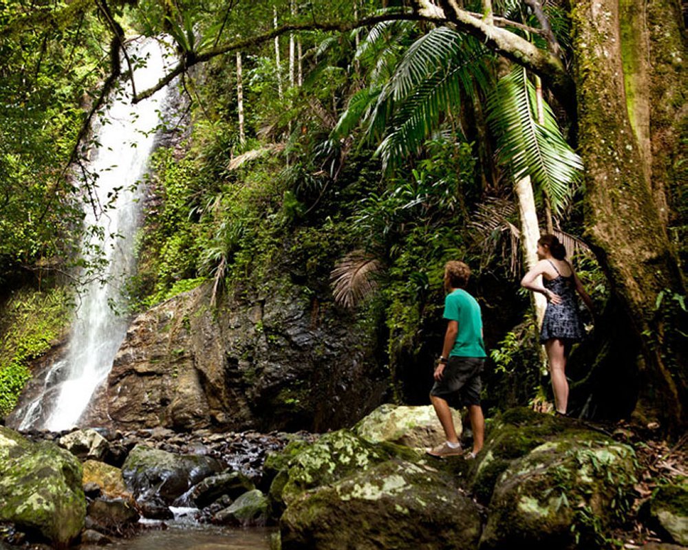 Reef Docs - Die Inselklinik [3 DVDs]