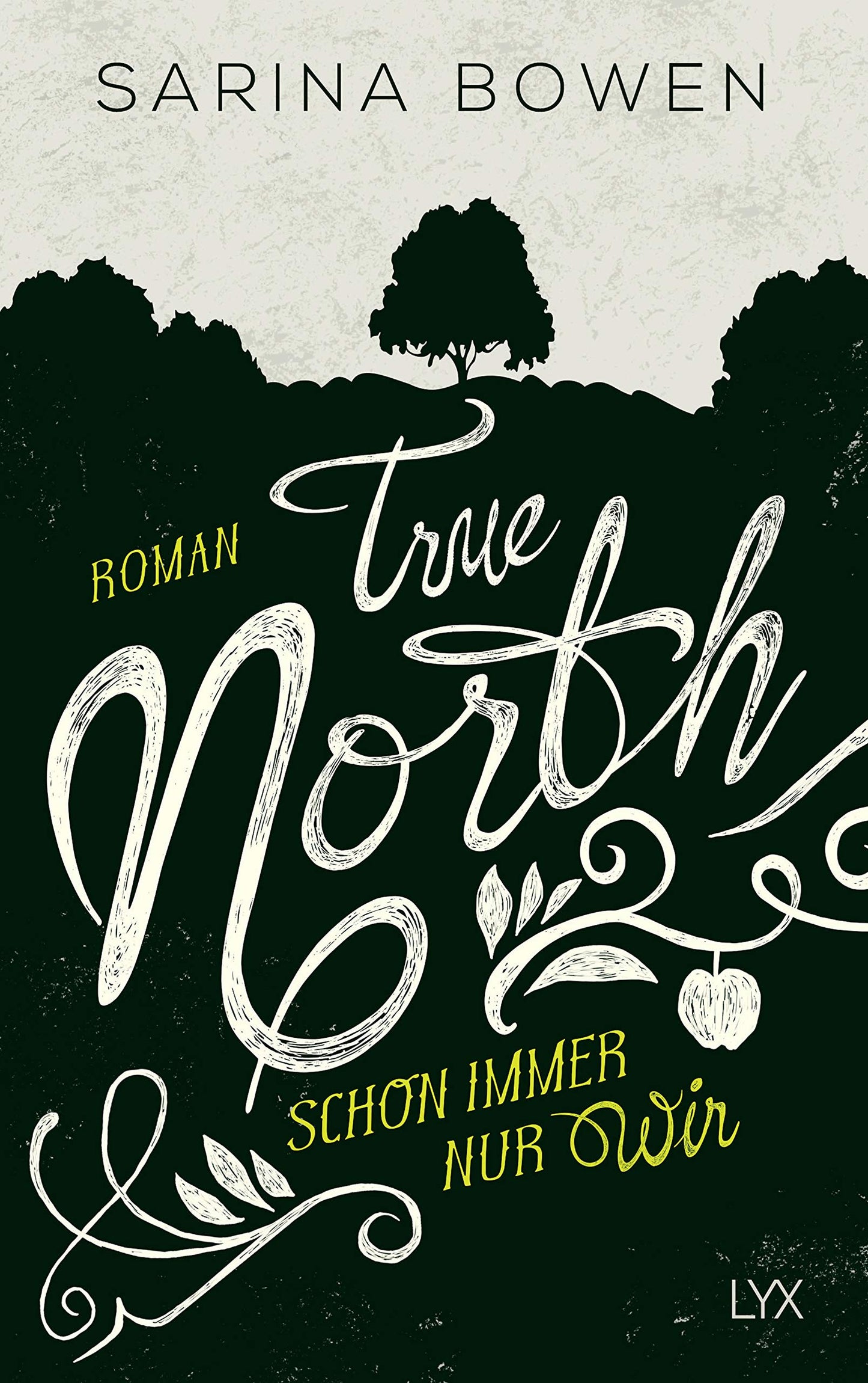 True North - Schon immer nur wir: Roman (Vermont-Reihe, Band 2)