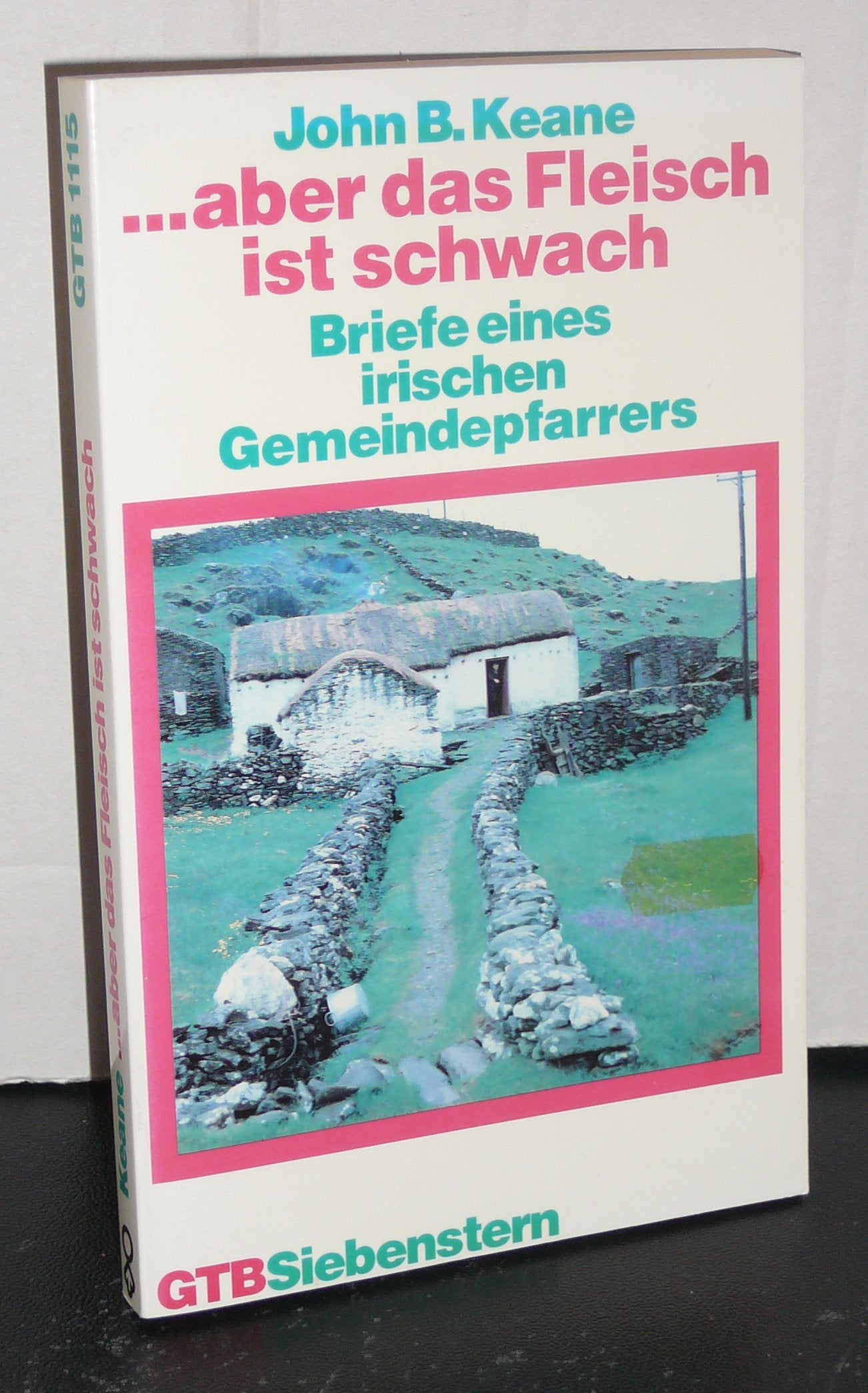 aber das Fleisch ist schwach. Briefe eines irischen Gemeindepfarrers.