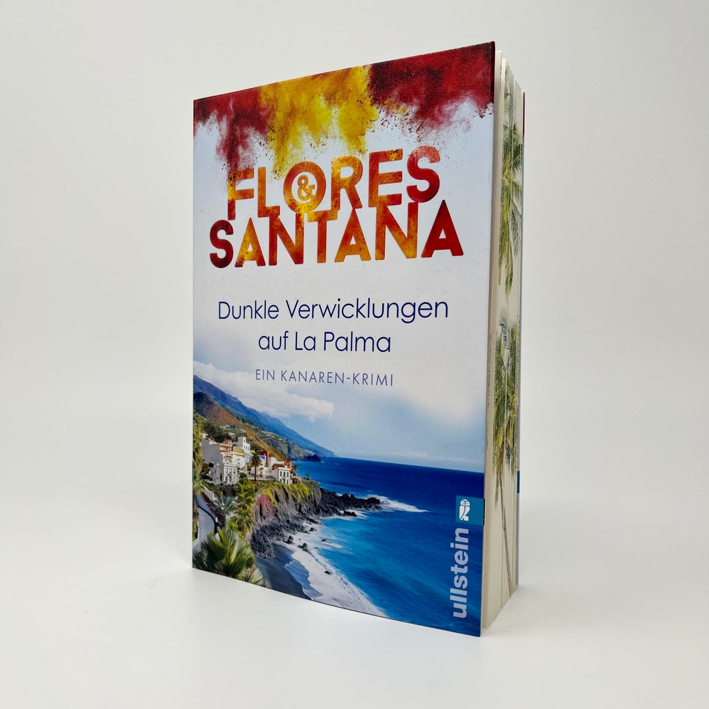 Dunkle Verwicklungen auf La Palma: Ein Toter im Sand, eine verhängnisvolle Intrige und ein Ermittlerduo, das nicht locker lässt (Calderón und Rodriguez ermitteln, Band 1)