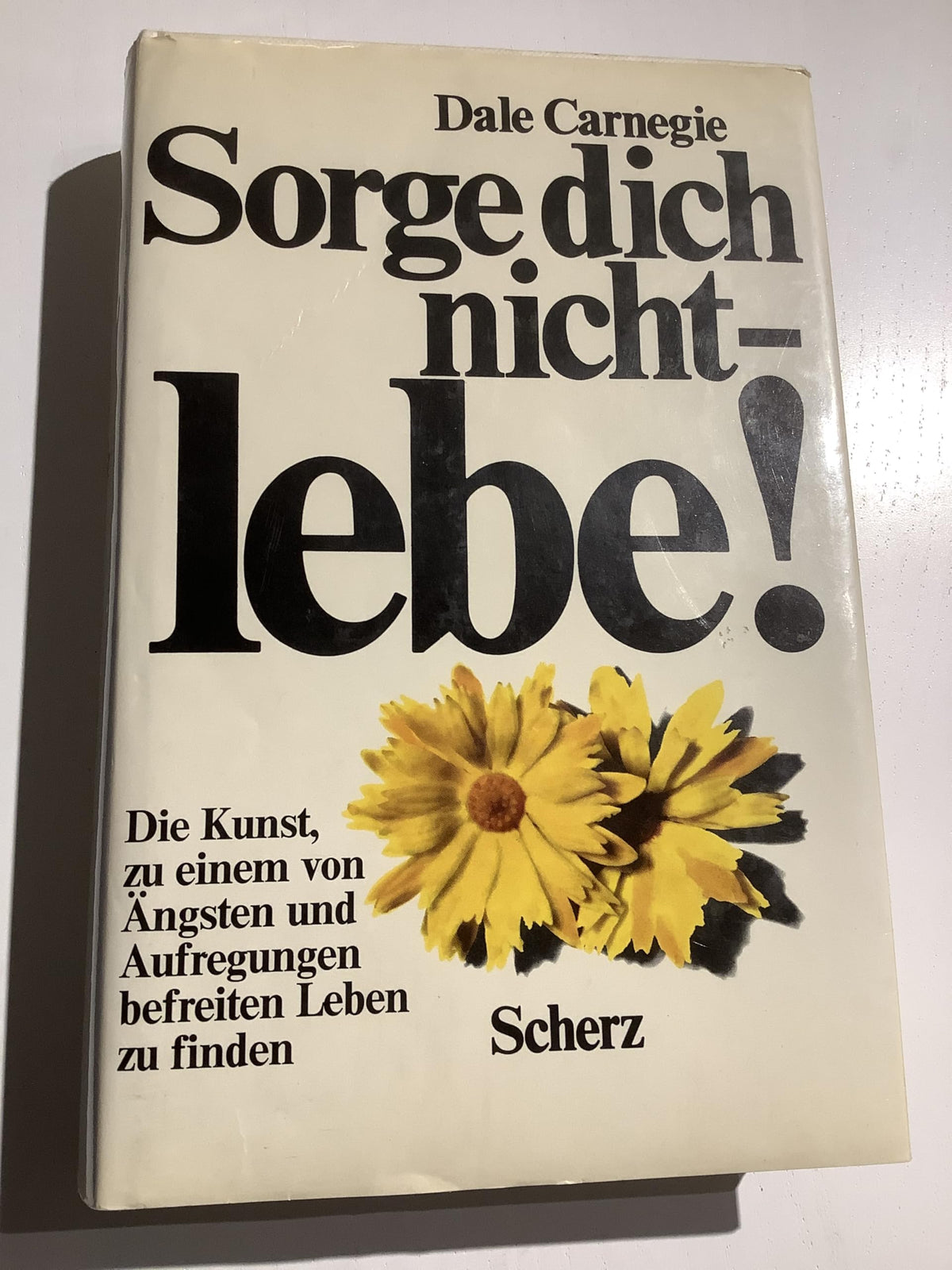 Sorge dich nicht - lebe!: Die Kunst zu einem von Ängsten und Aufregungen befreiten Leben zu finden