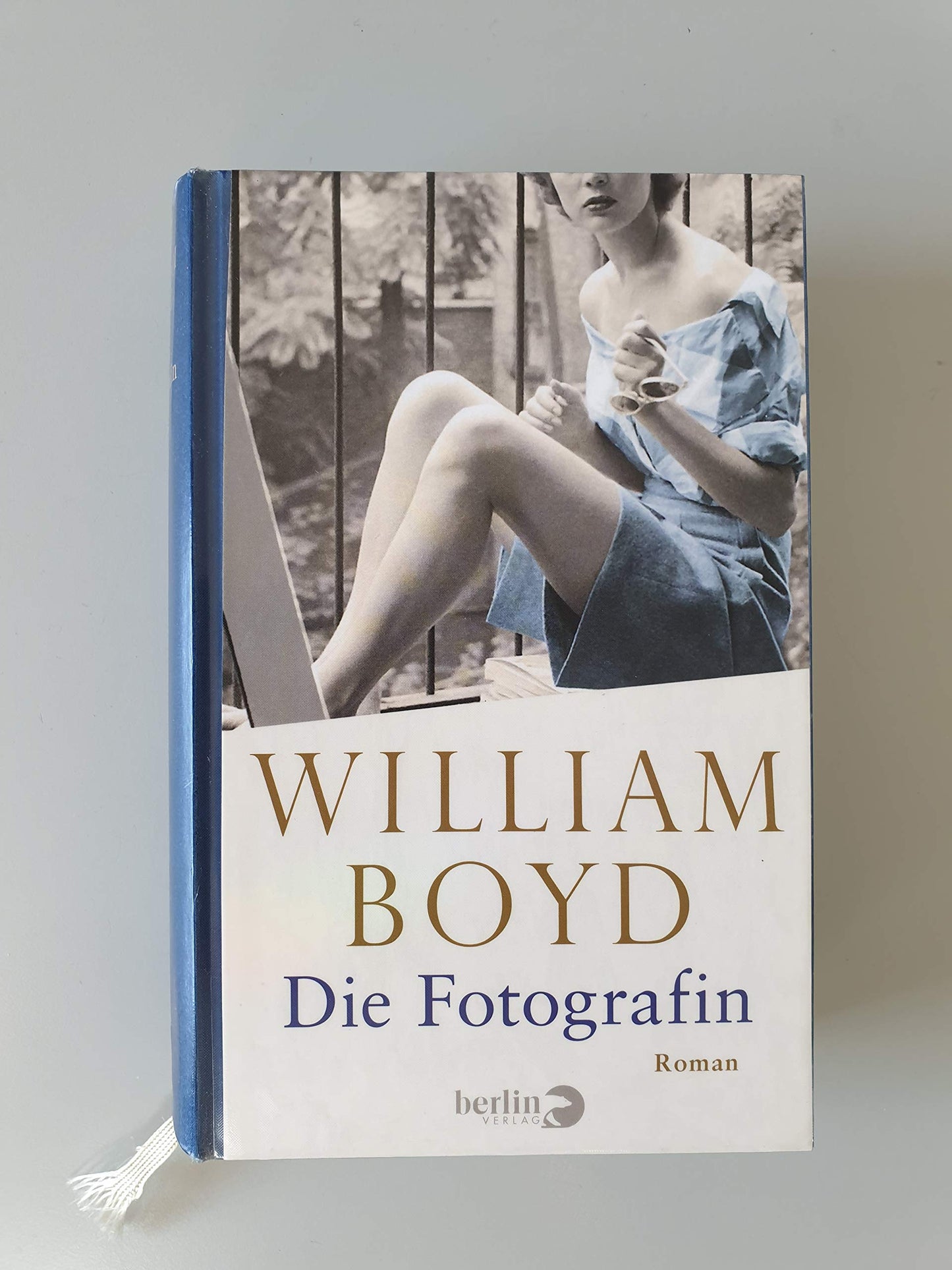 Die Fotografin: Die vielen Leben der Amory Clay: Die vielen Leben der Amory Clay. Roman