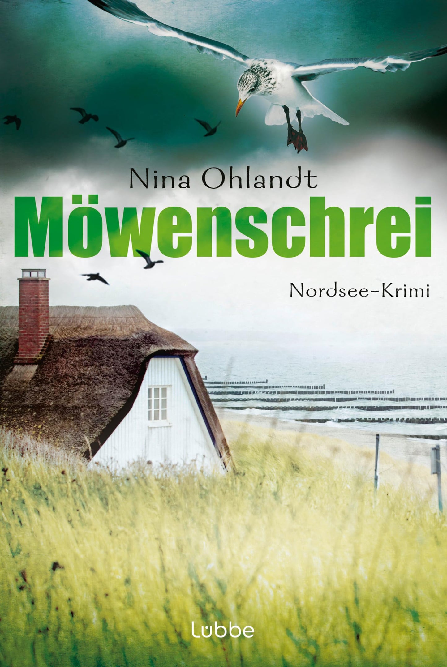 Möwenschrei: Nordsee-Krimi (Hauptkommissar John Benthien, Band 2)