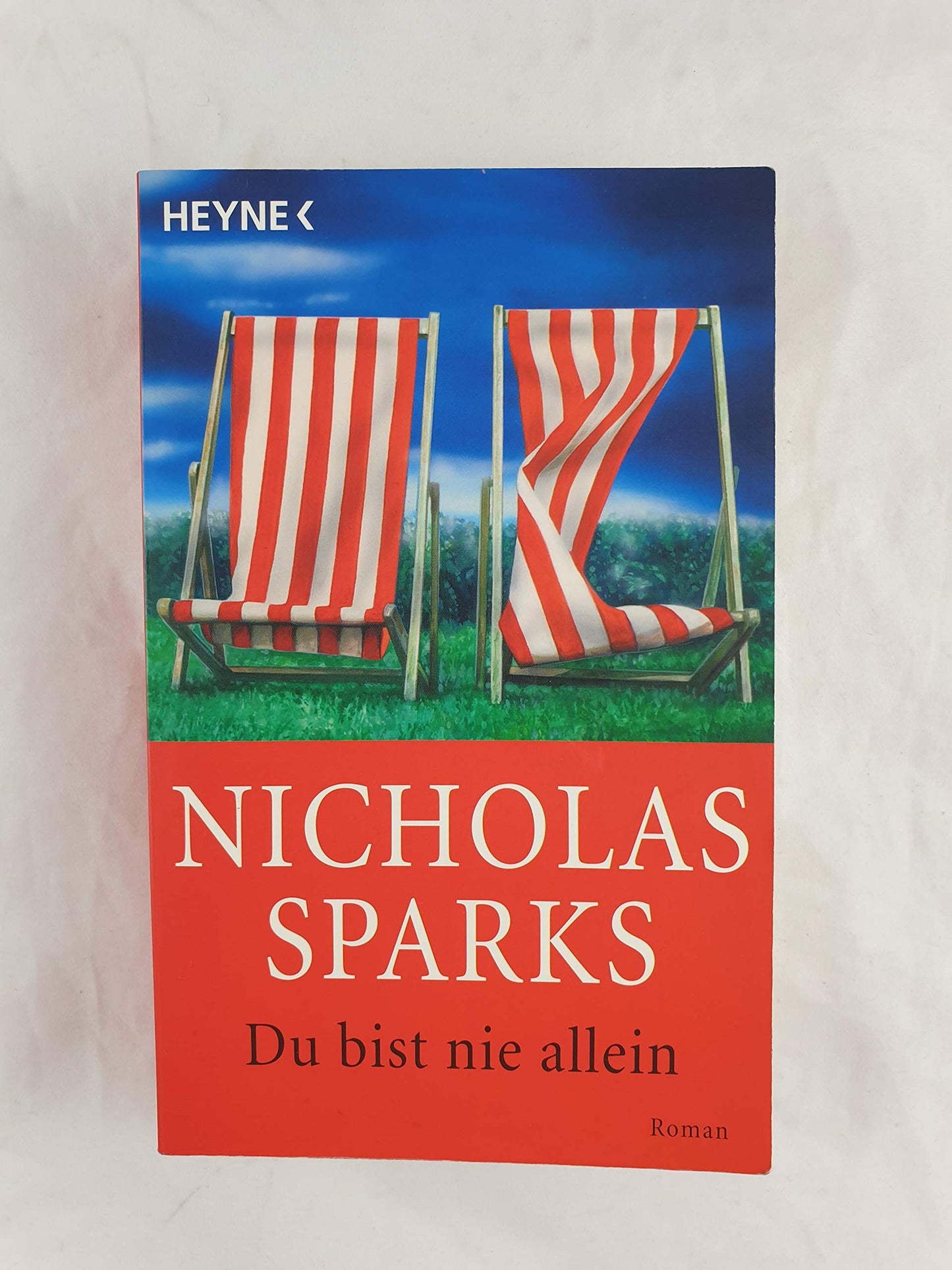 Du bist nie allein: Roman