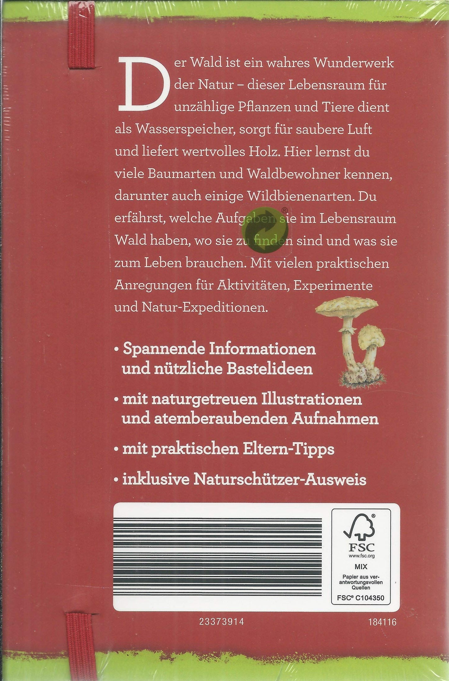 lebensraum wald beobachten, schützen und erleben