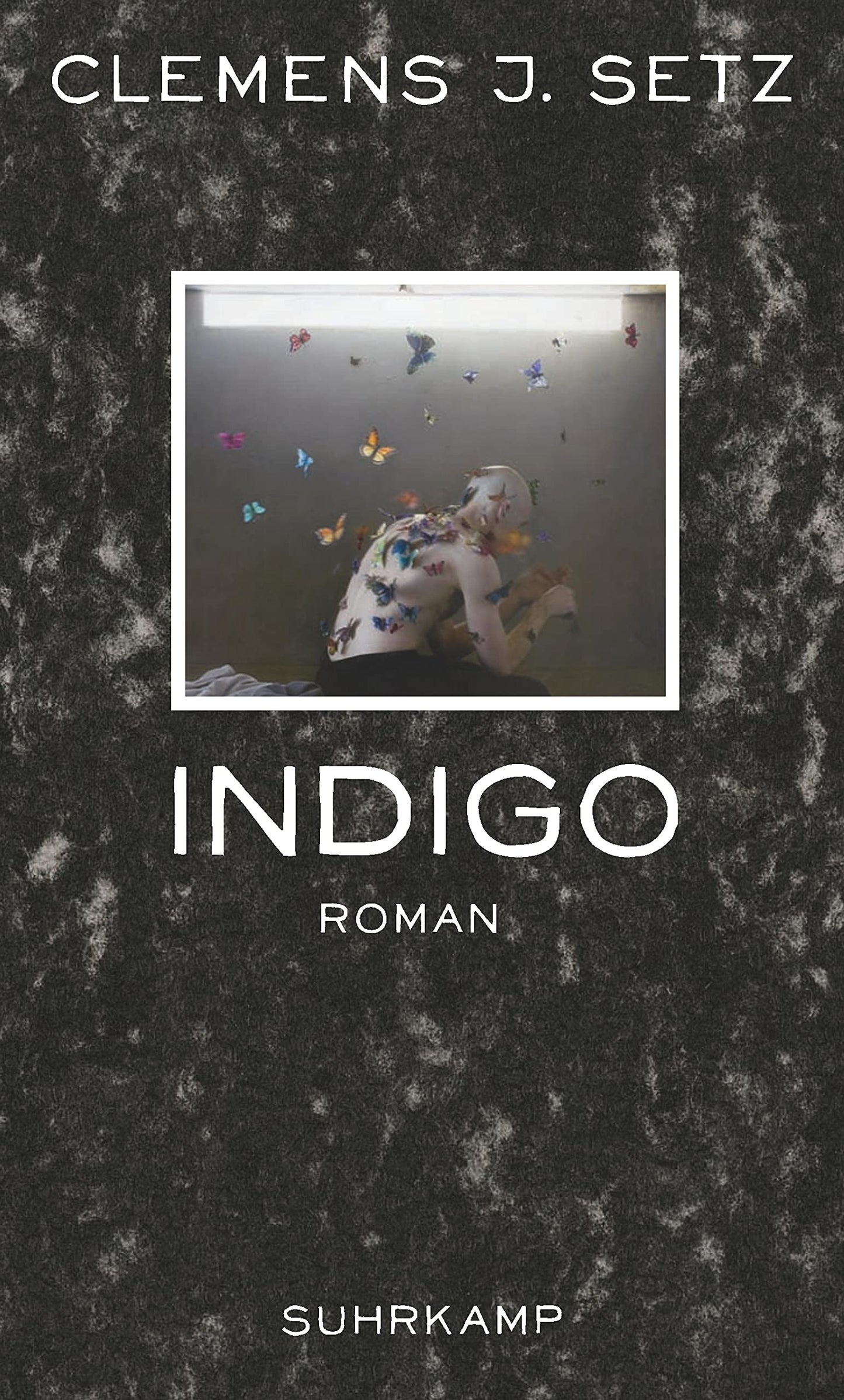Indigo: Roman