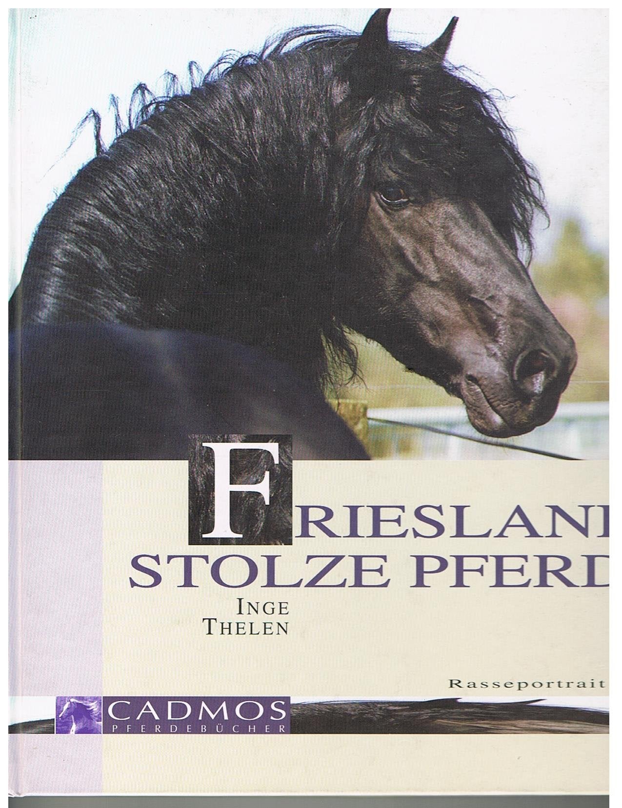 Frieslands stolze Pferde