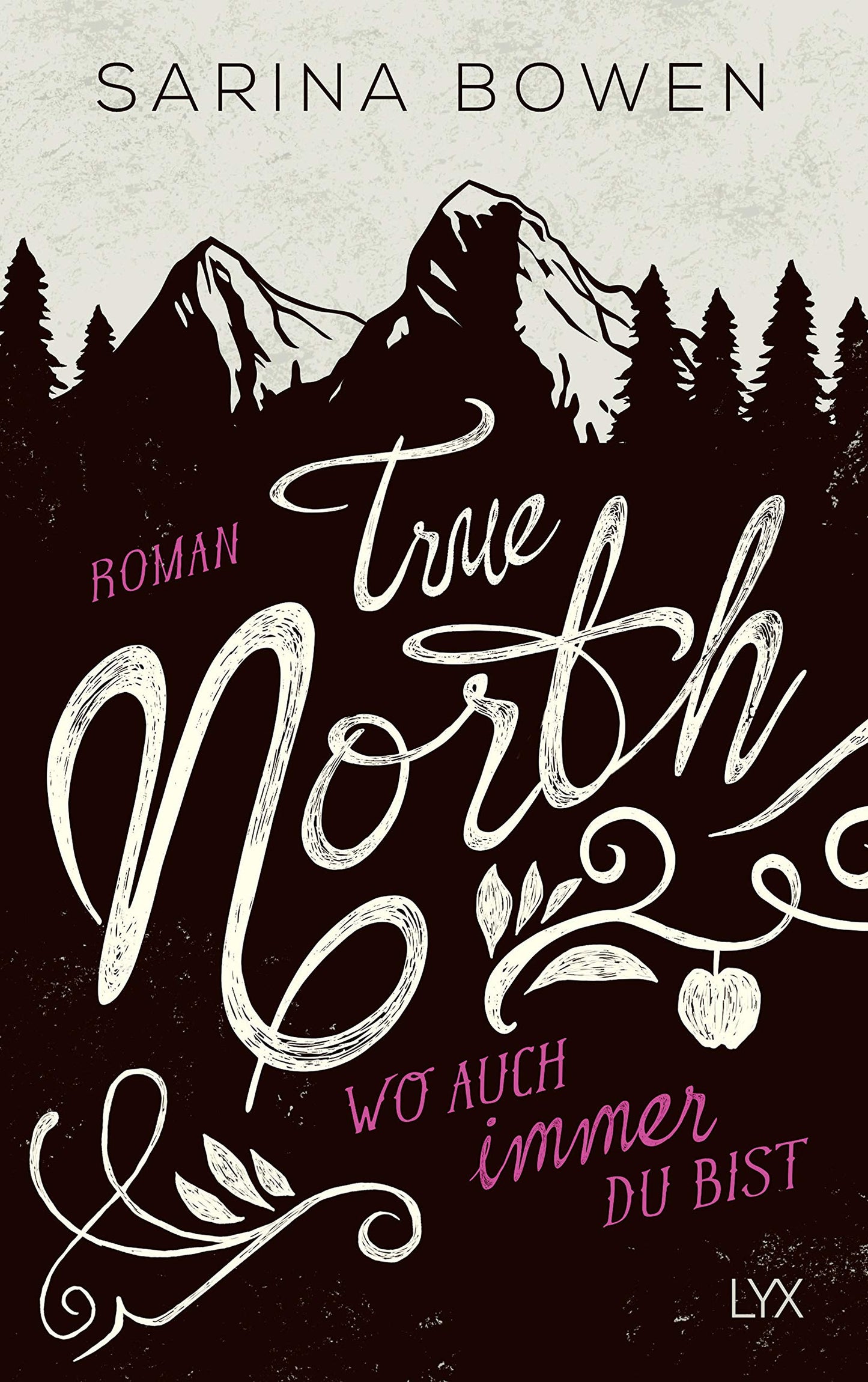 True North - Wo auch immer du bist: Roman (Vermont-Reihe, Band 1)