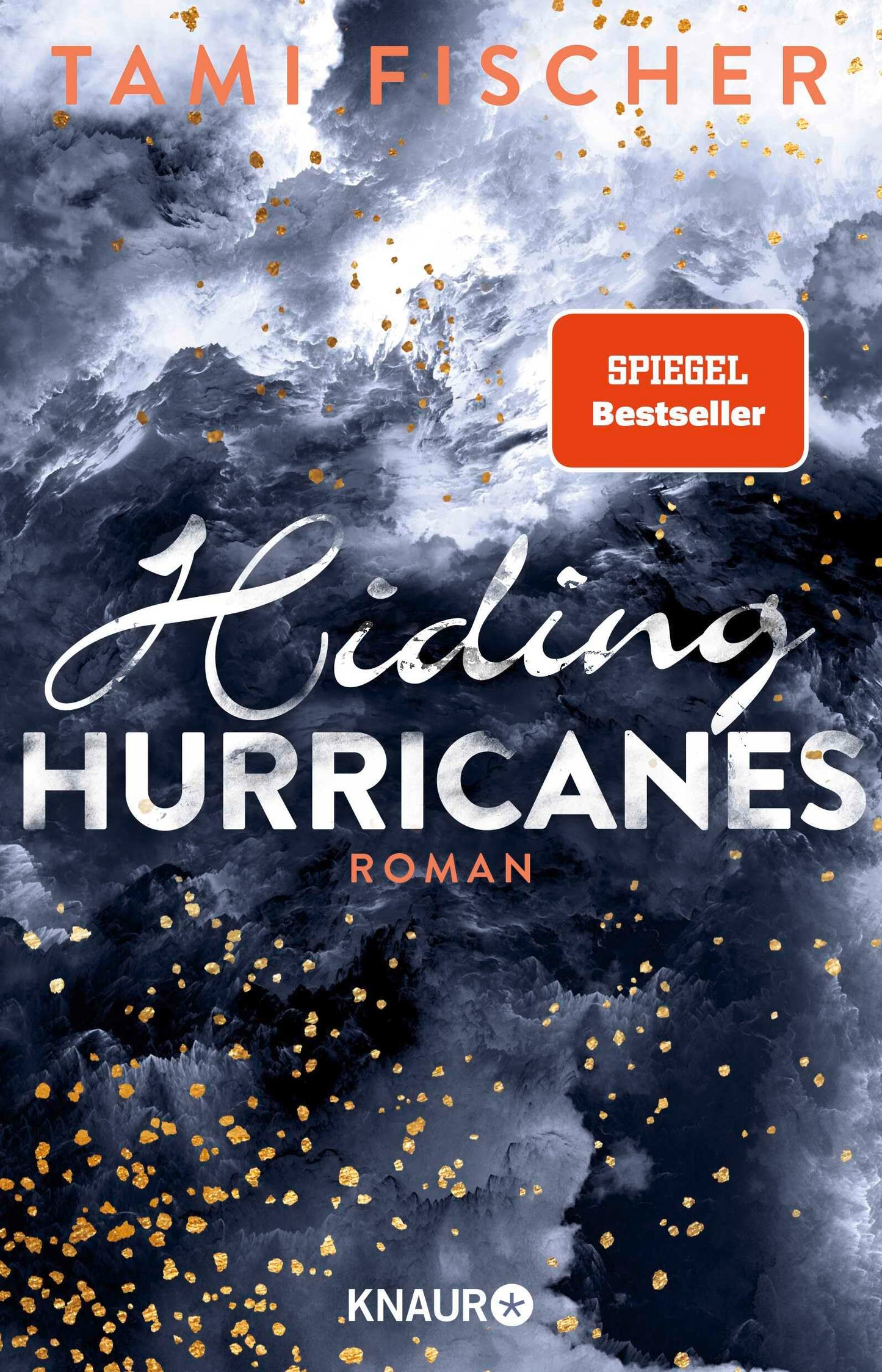 Hiding Hurricanes: Roman (Fletcher University, Band 3)