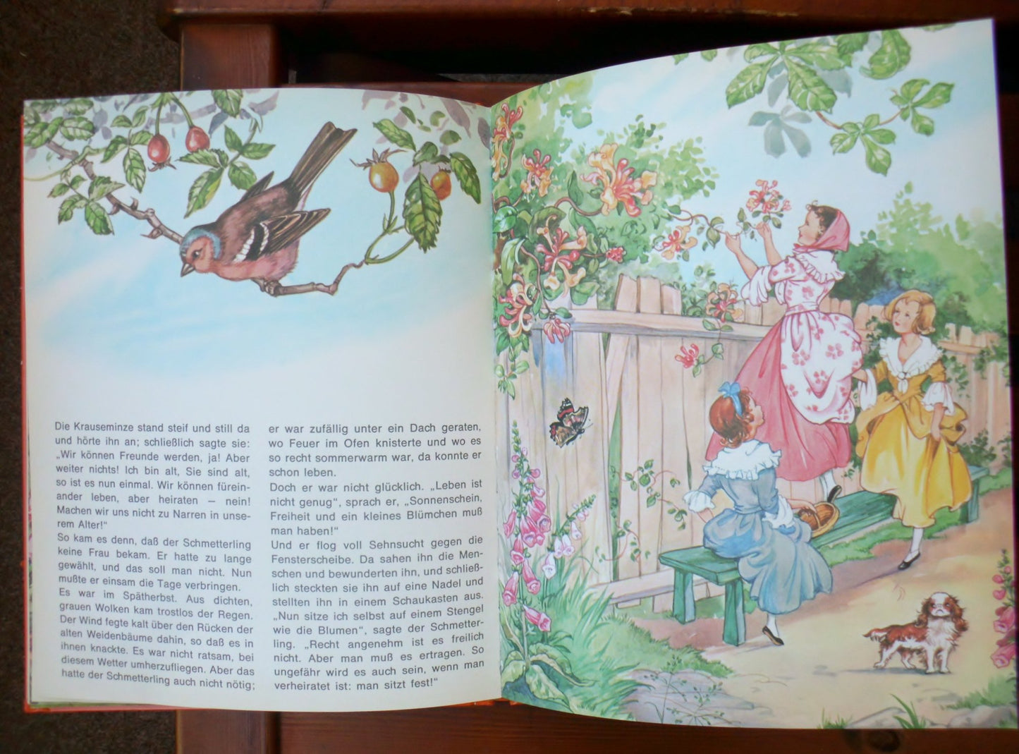 Der Schmetterling. Andersen Märchen