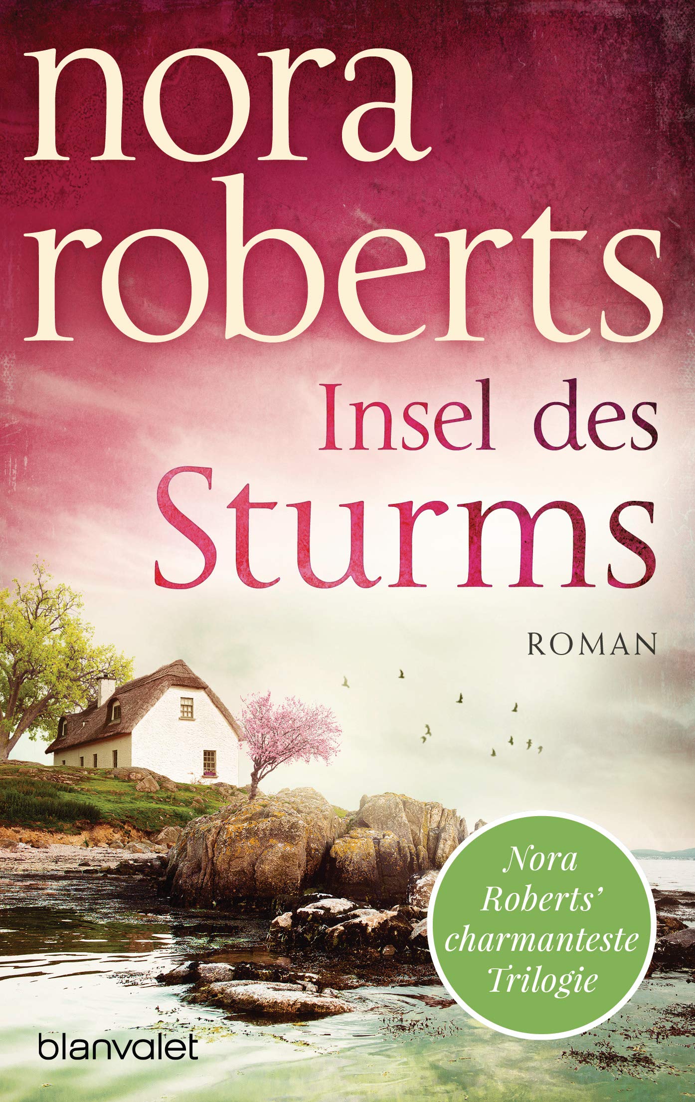 Insel des Sturms: Roman (Die Sturm-Trilogie, Band 1)