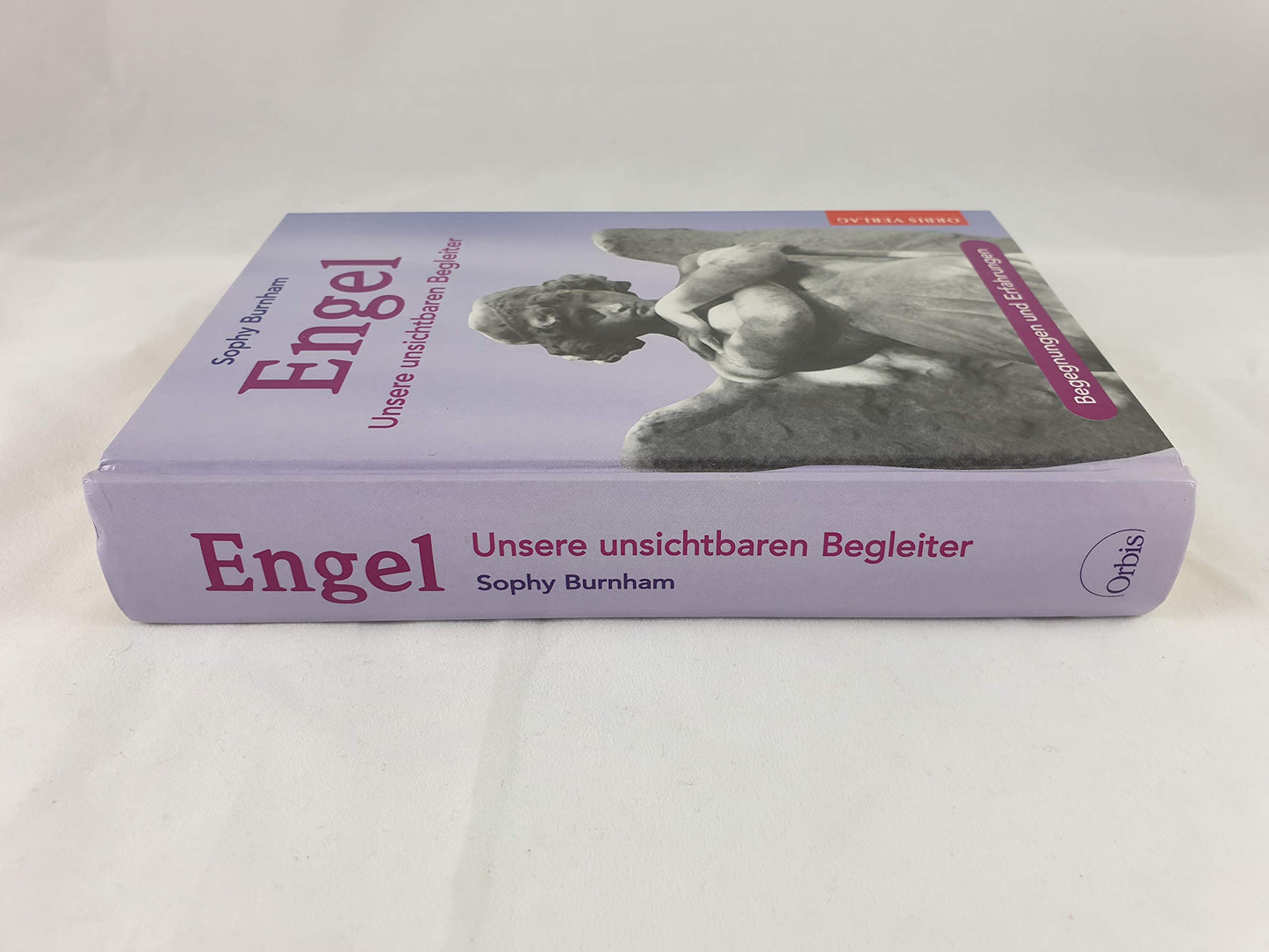 Engel. Unsere unsichtbaren Begleiter. Erfahrungen und Reflexionen