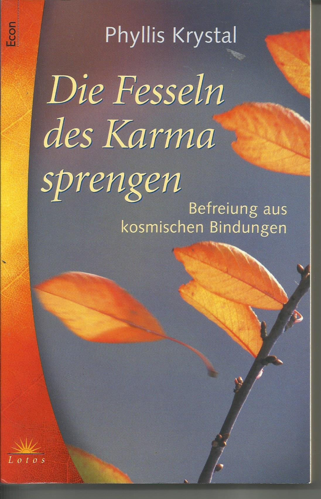 Die Fesseln des Karma sprengen : Befreiung aus kosmischen Bindungen.