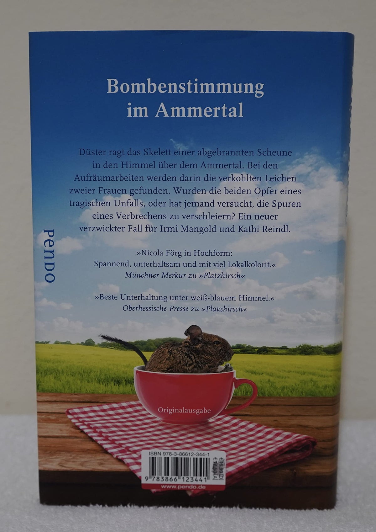 Scheunenfest: Ein Alpen-Krimi (Alpen-Krimis, Band 6)