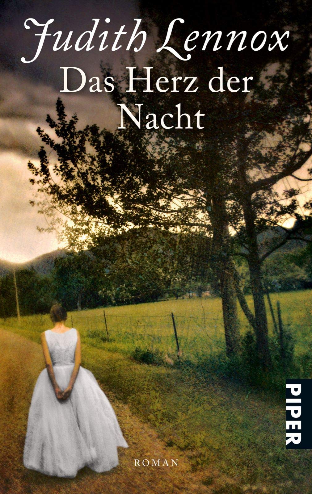 Das Herz der Nacht: Roman