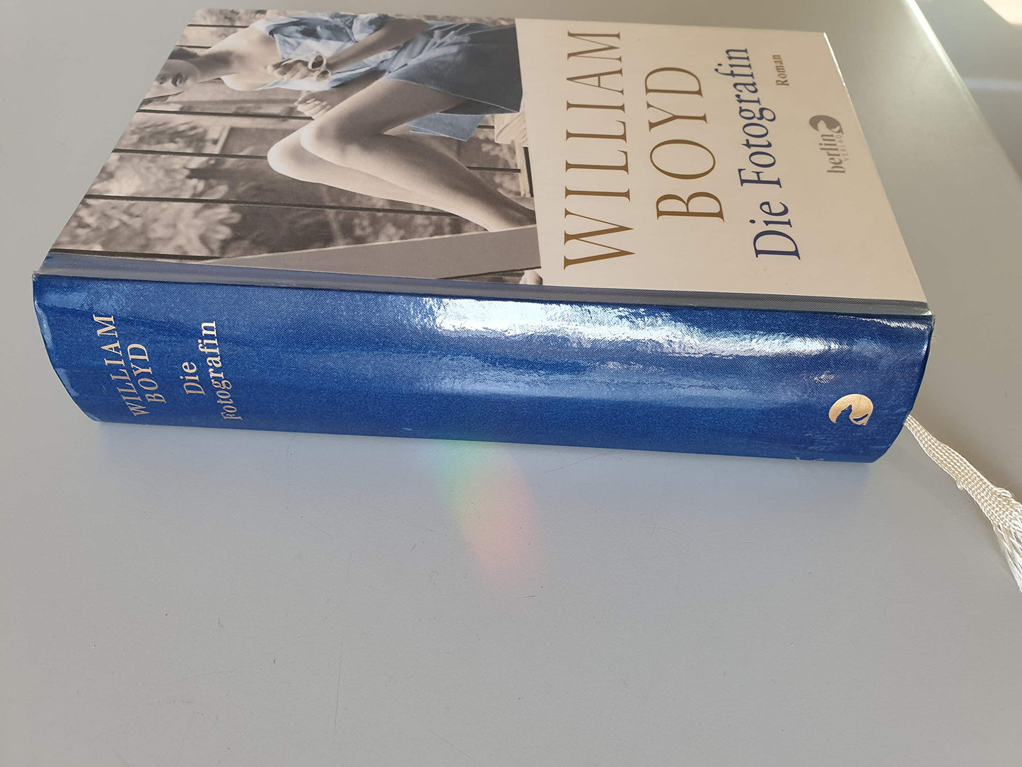 Die Fotografin: Die vielen Leben der Amory Clay: Die vielen Leben der Amory Clay. Roman