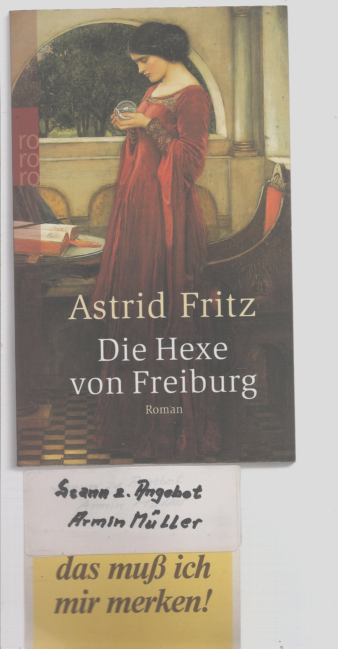 Die Hexe von Freiburg: Historischer Roman