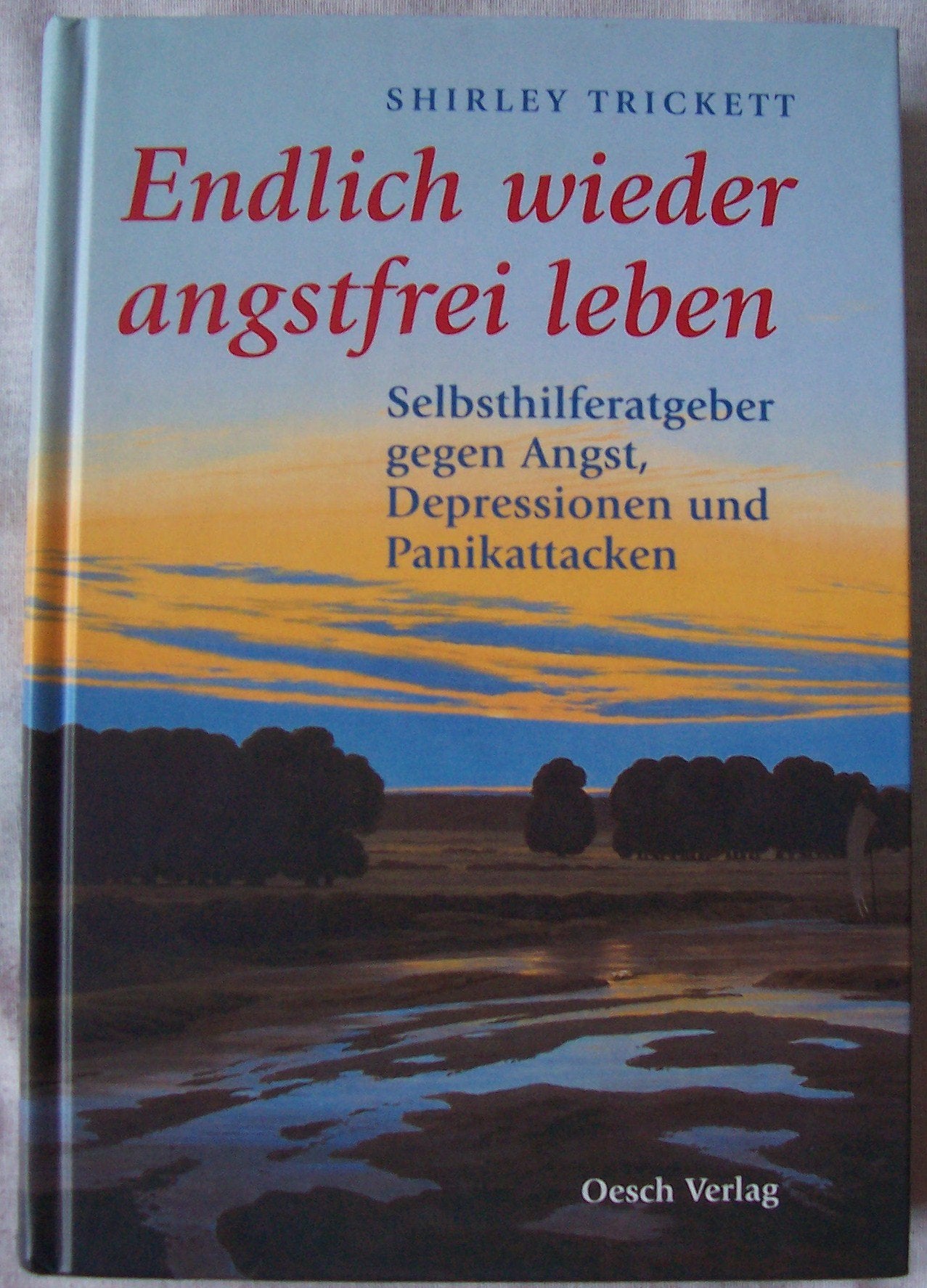 Endlich wieder angstfrei leben: Selbsthilferatgeber gegen Angst, Depressionen und Panikattacken