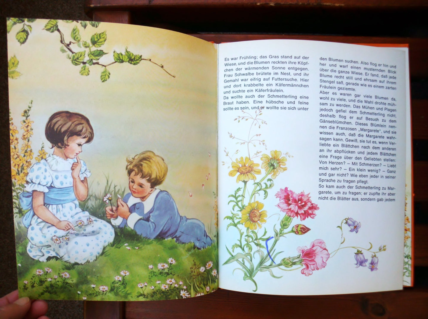 Der Schmetterling. Andersen Märchen